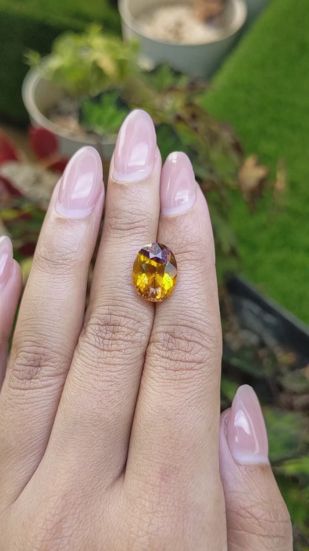 5.68 Ct. Bi Color Ametrine from Brazil Size Video
