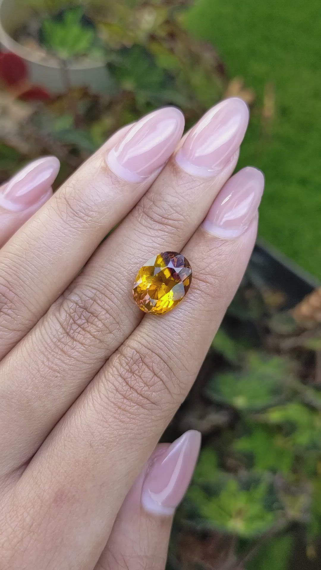 5.68 Ct. Bi Color Ametrine from Brazil Size Video