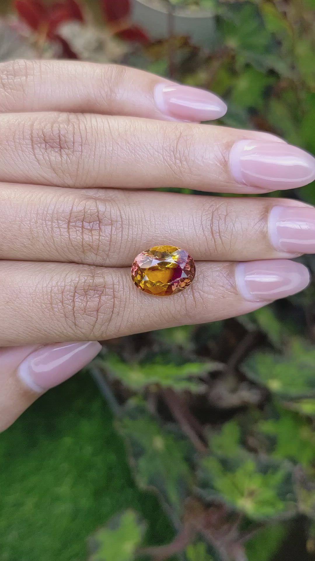 6.38 Ct. Bi Color Ametrine from Brazil Size Video