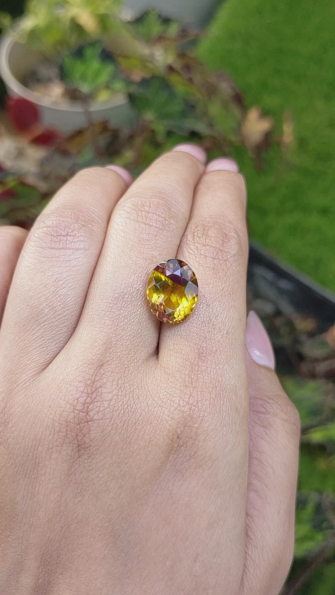 6.38 Ct. Bi Color Ametrine from Brazil Size Video