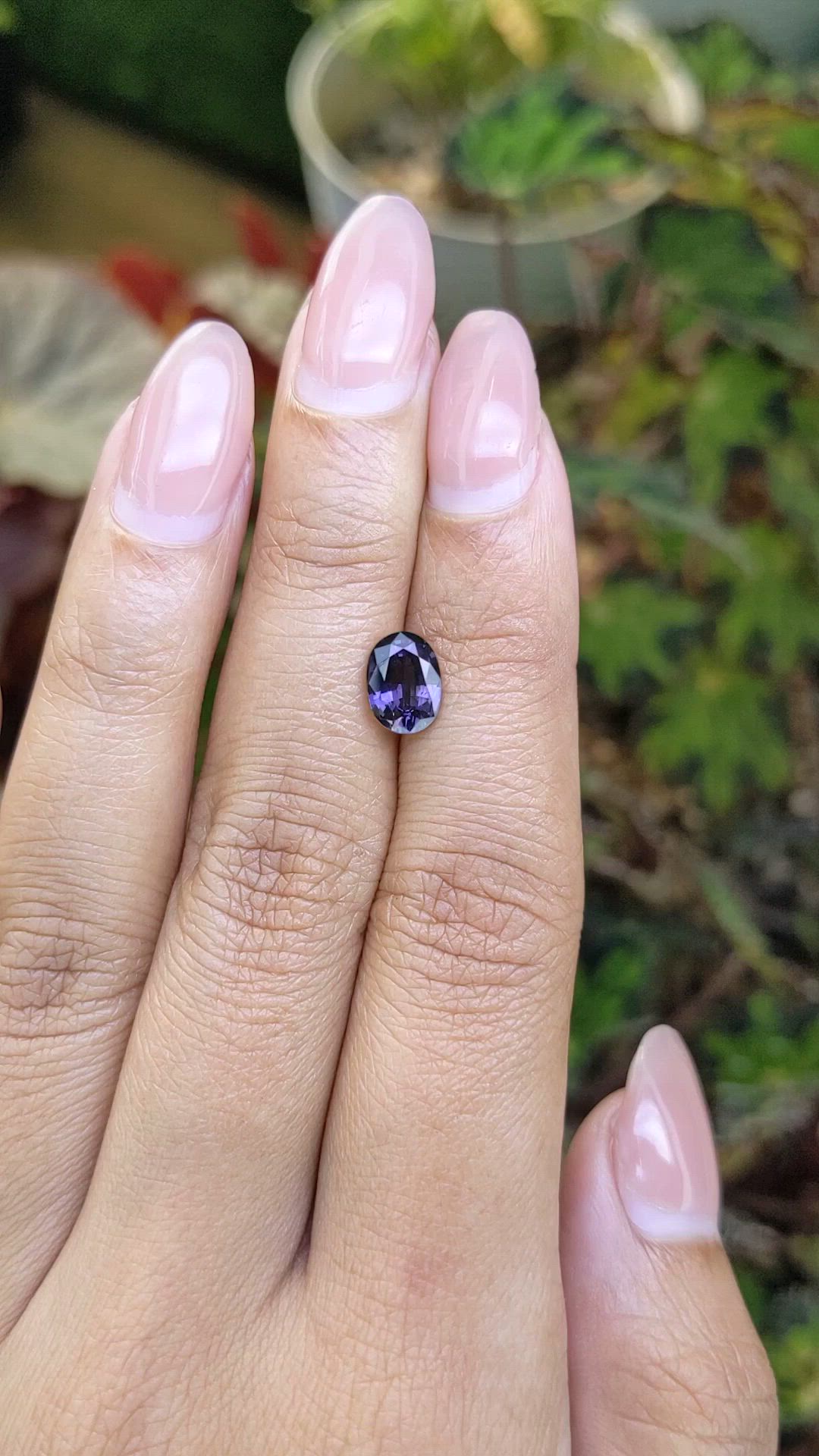 1.32 Ct. Purple Spinel from Ceylon (Sri Lanka) Size Video
