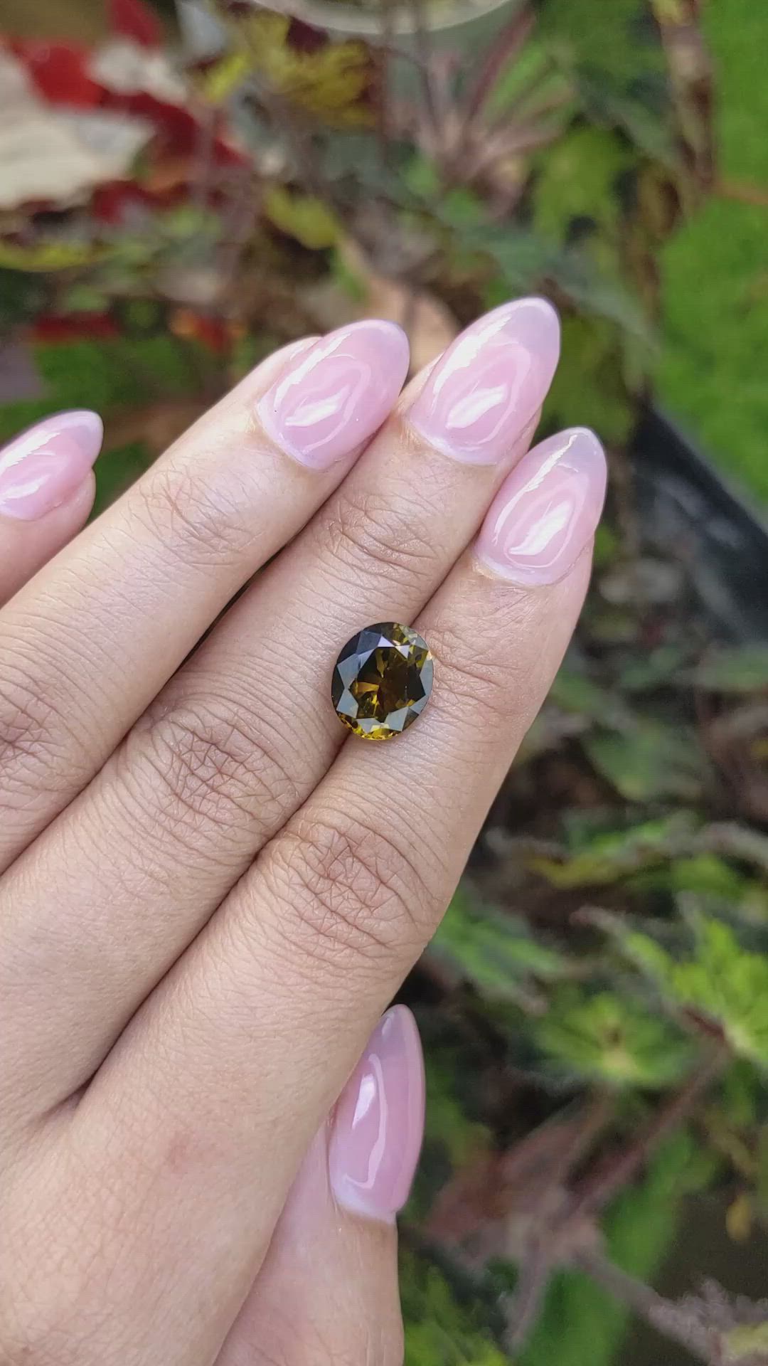 3.27 Ct. Yellowish Brown Tourmaline from Ceylon (Sri Lanka) Size Video