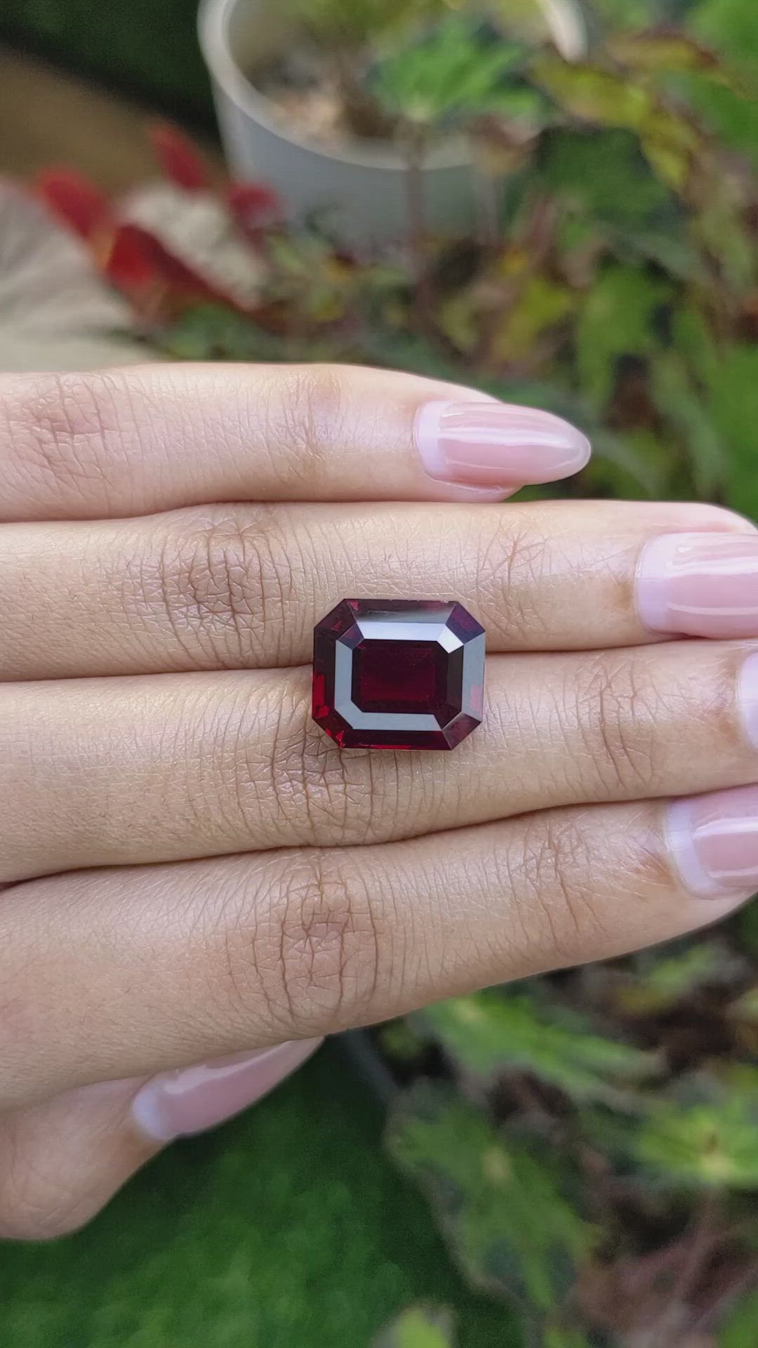 14.26 Ct. Red Almandine Garnet from Ceylon (Sri Lanka) Size Video