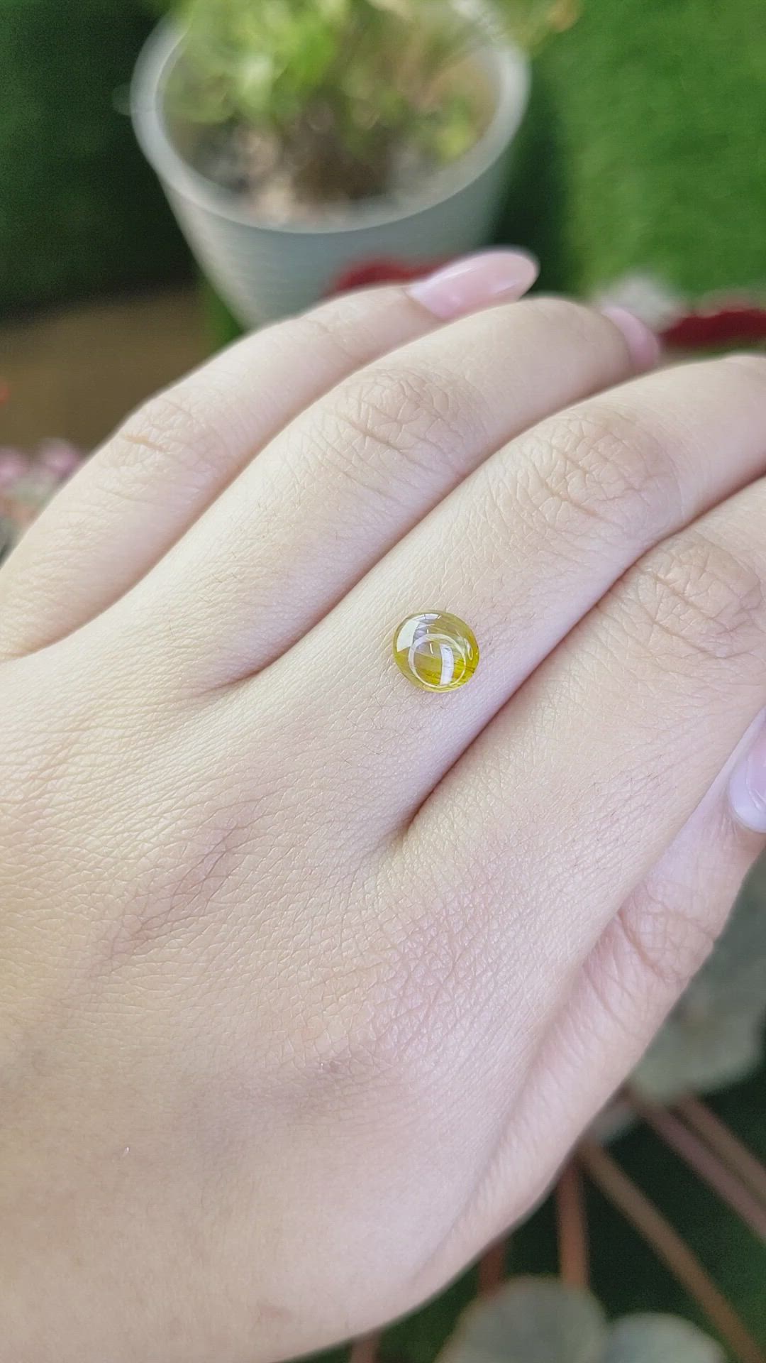 1.53 Ct. Yellowish Brown Cabochon Chrysoberyl from Ceylon (Sri Lanka) Size Video