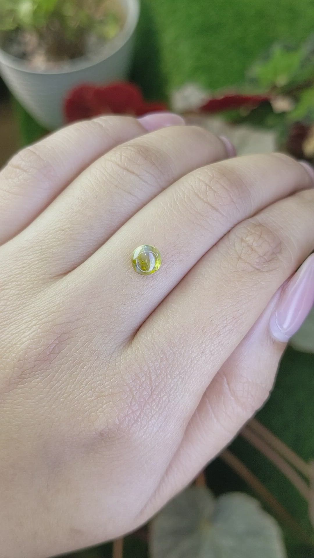 1.27 Ct. Greenish Yellow Cabochon Chrysoberyl from Ceylon (Sri Lanka) Size Video