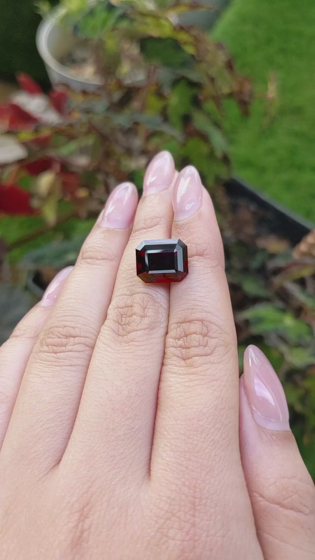11.06 Ct. Red Garnet from Ceylon (Sri Lanka) Size Video