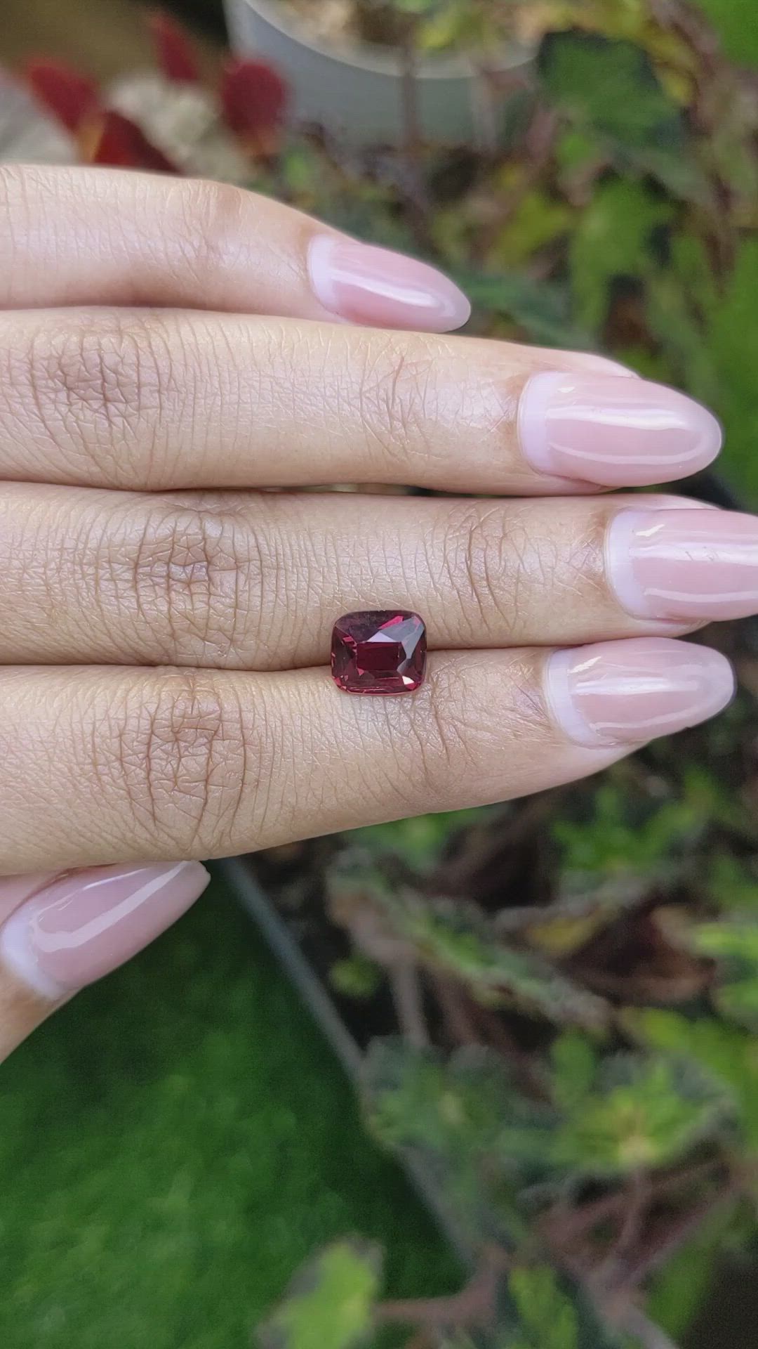 2.73 Ct. Red Garnet from Ceylon (Sri Lanka) Size Video