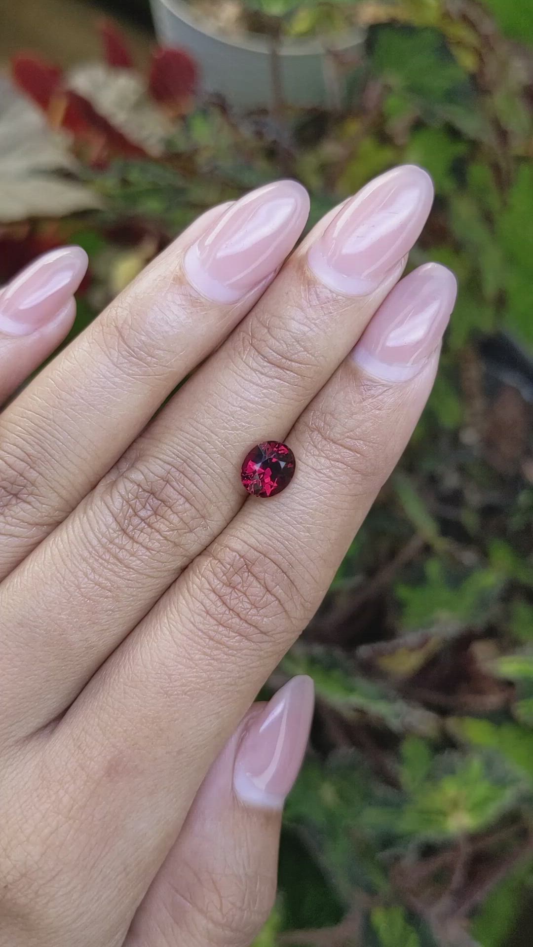 1.91 Ct. Red Garnet from Ceylon (Sri Lanka) Size Video