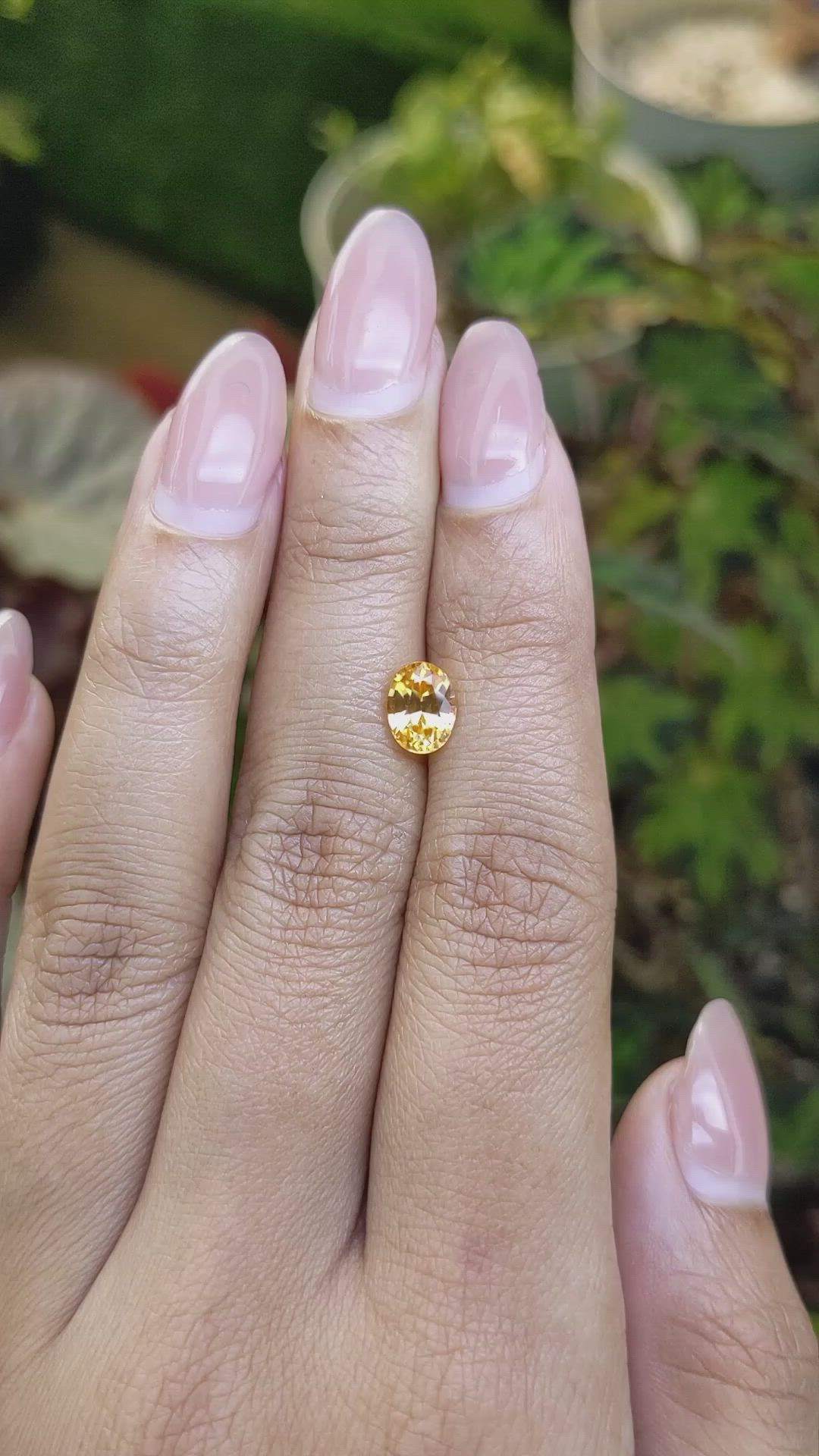 1.59 Ct. Yellow Zircon from Ceylon (Sri Lanka) Size Video