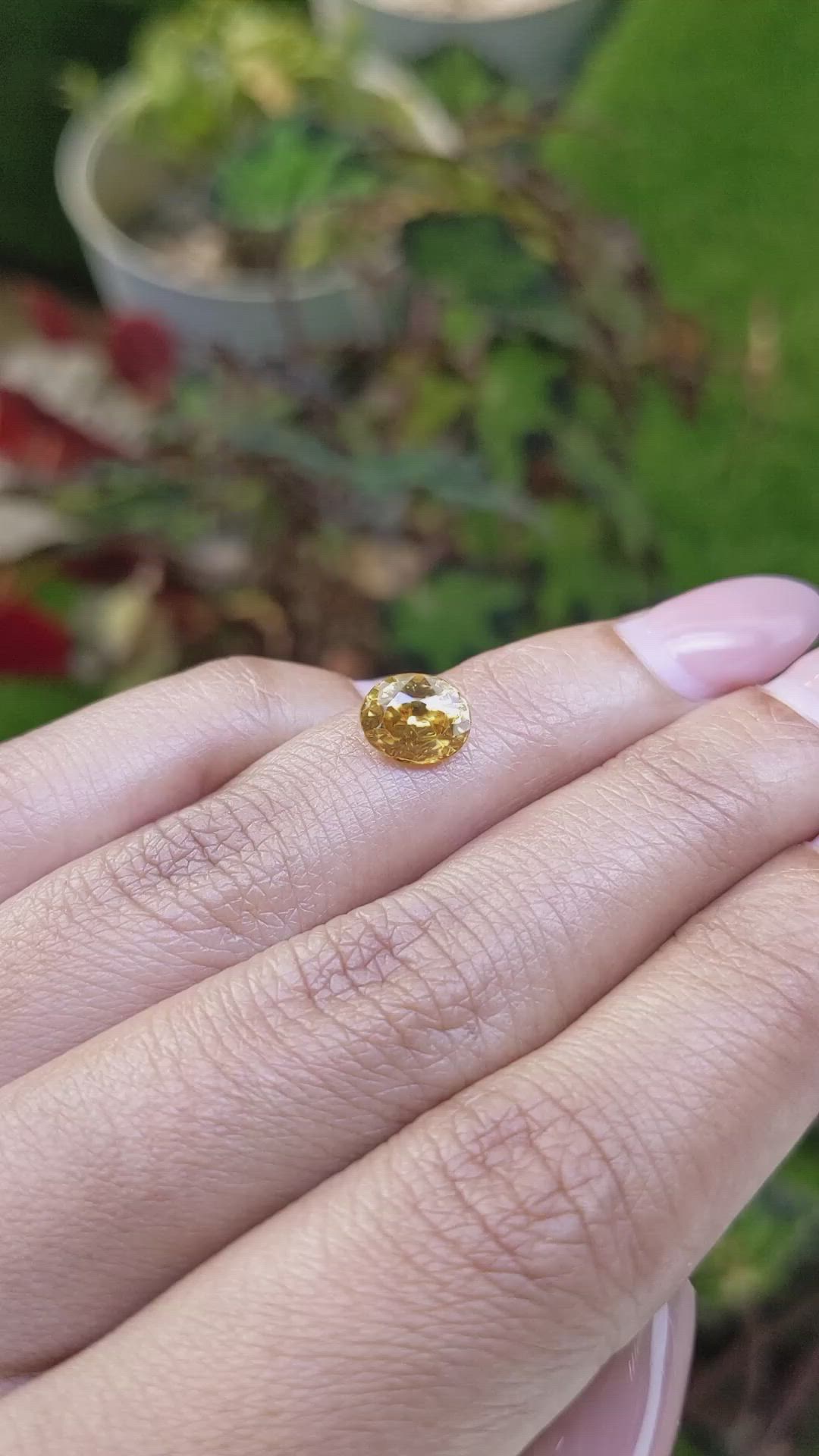 2.23 Ct. Brownish Yellow Zircon from Ceylon (Sri Lanka) Size Video