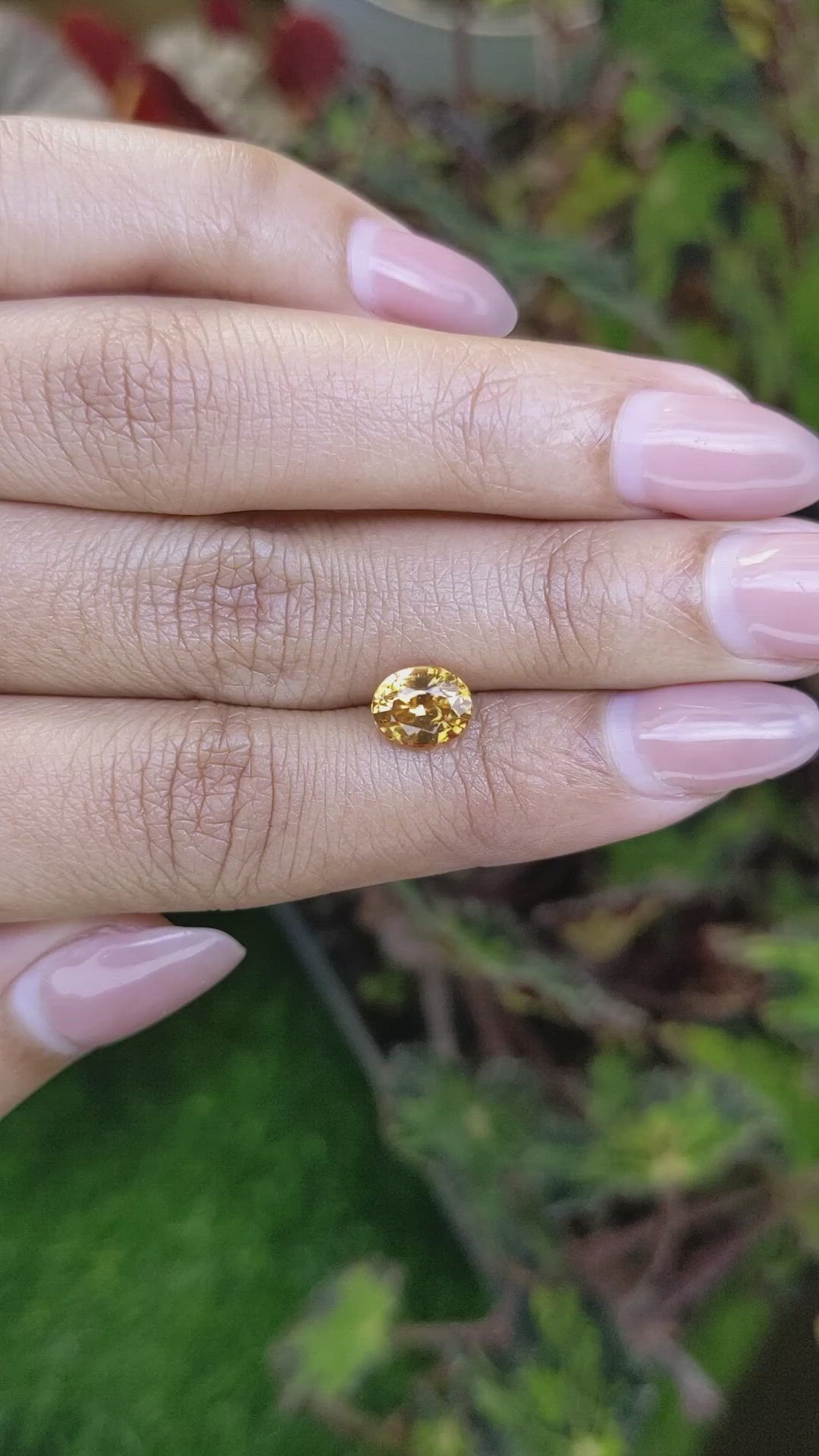 2.23 Ct. Brownish Yellow Zircon from Ceylon (Sri Lanka) Size Video