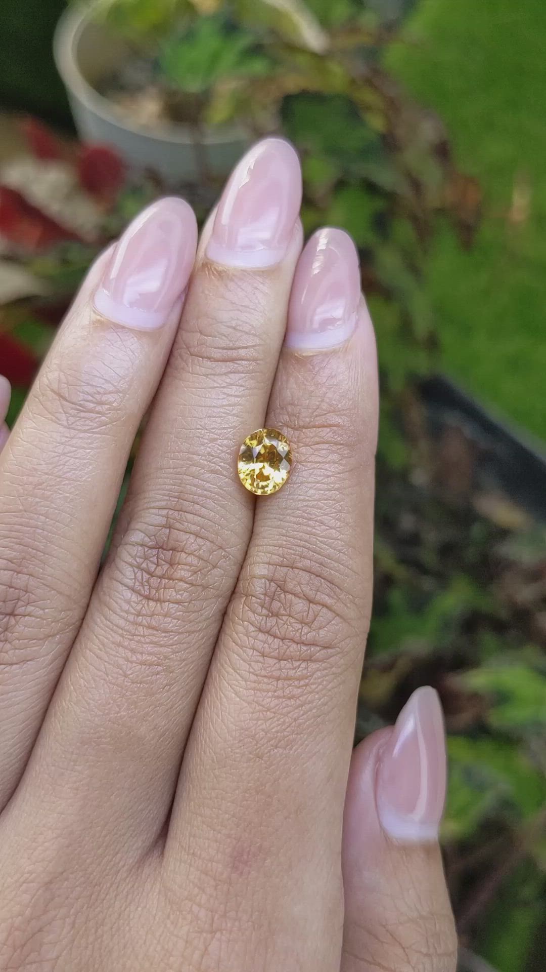 2.23 Ct. Brownish Yellow Zircon from Ceylon (Sri Lanka) Size Video