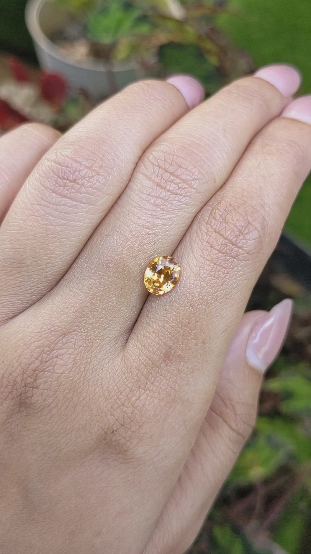 2.23 Ct. Brownish Yellow Zircon from Ceylon (Sri Lanka) Size Video