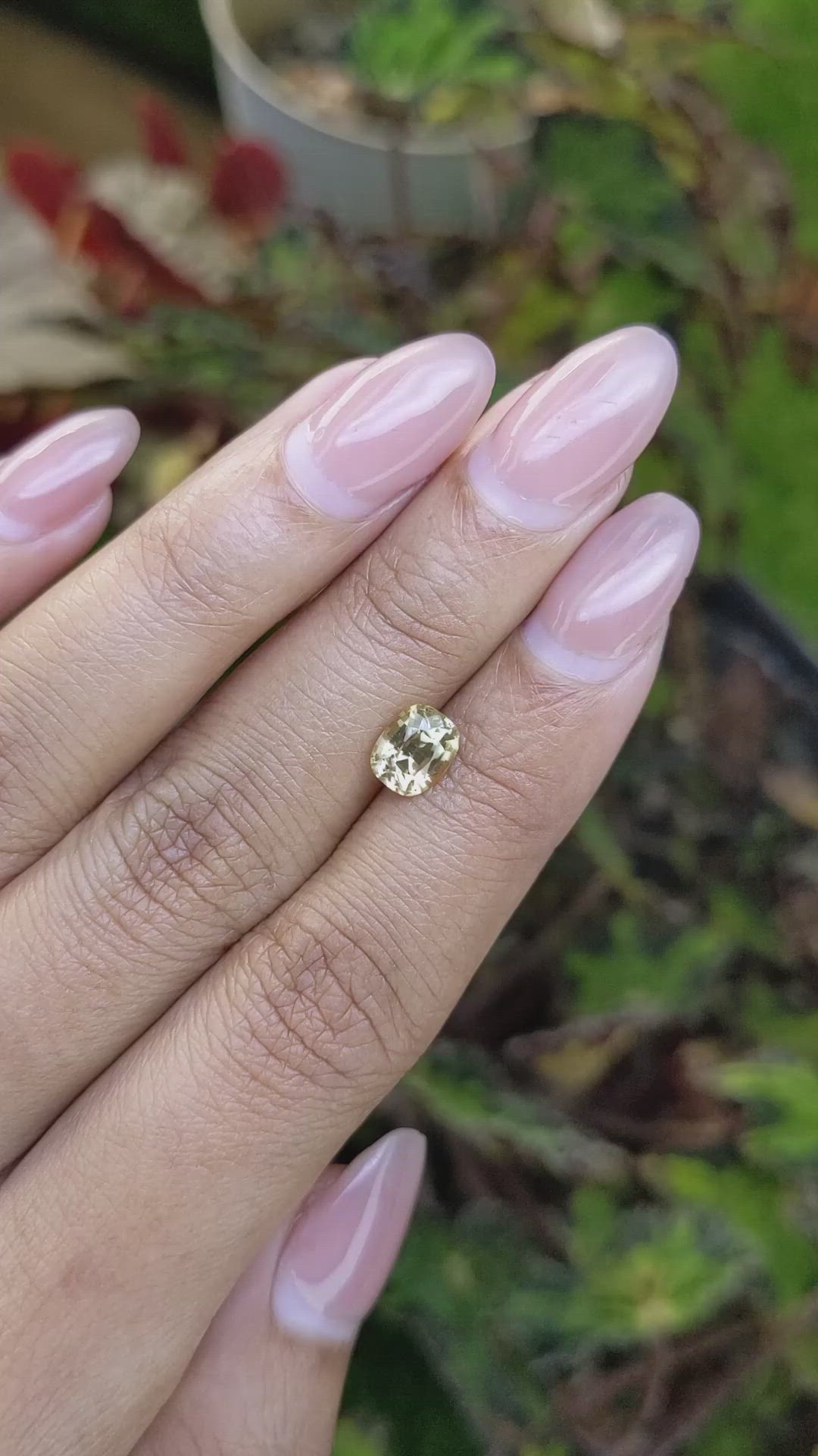 1.76 Ct. Greenish Yellow Zircon from Ceylon (Sri Lanka) Size Video