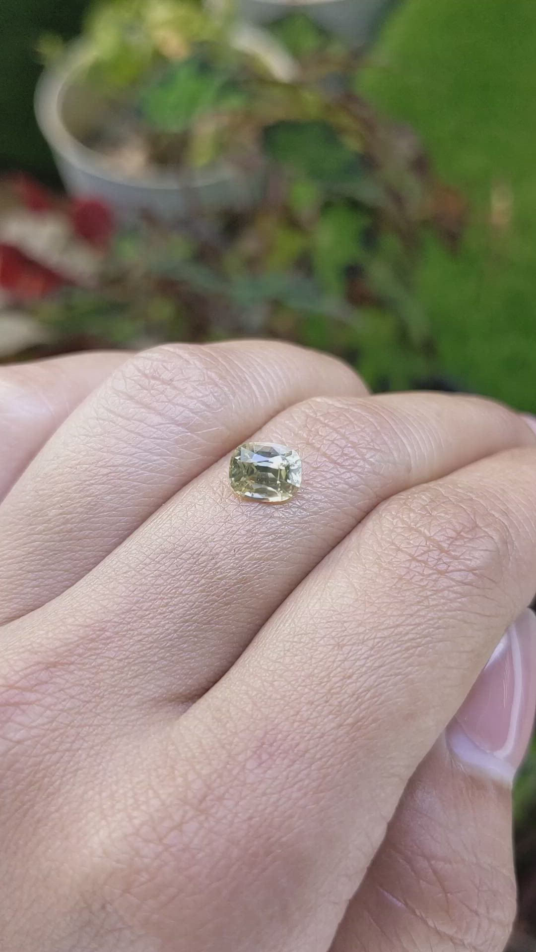 1.76 Ct. Greenish Yellow Zircon from Ceylon (Sri Lanka) Size Video