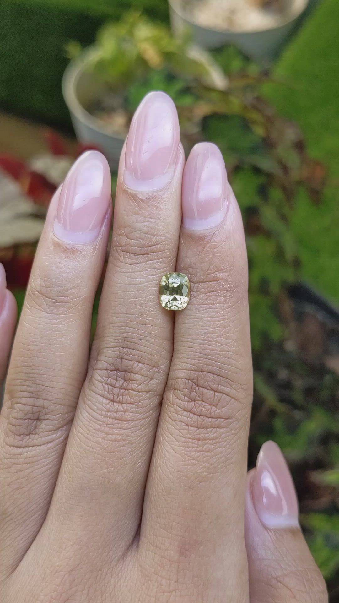 1.76 Ct. Greenish Yellow Zircon from Ceylon (Sri Lanka) Size Video
