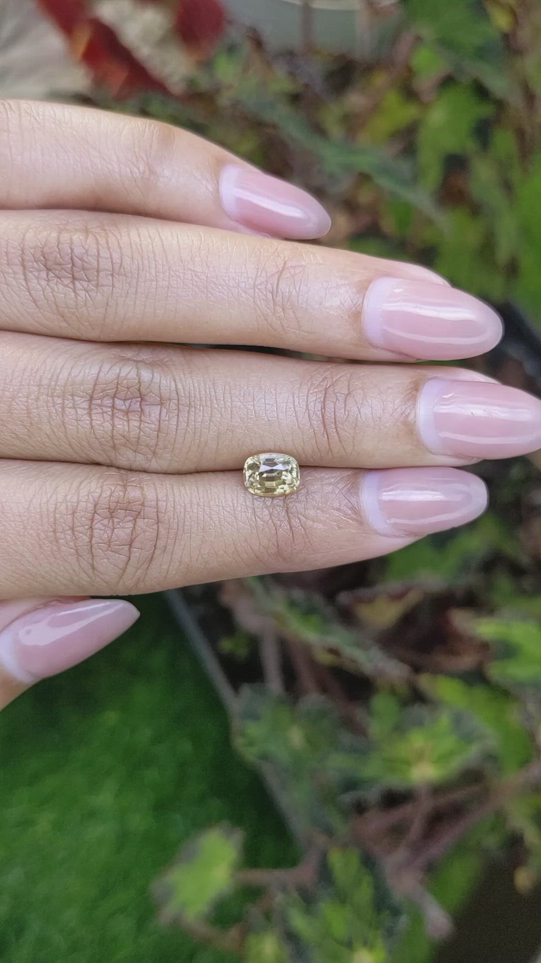 1.76 Ct. Greenish Yellow Zircon from Ceylon (Sri Lanka) Size Video