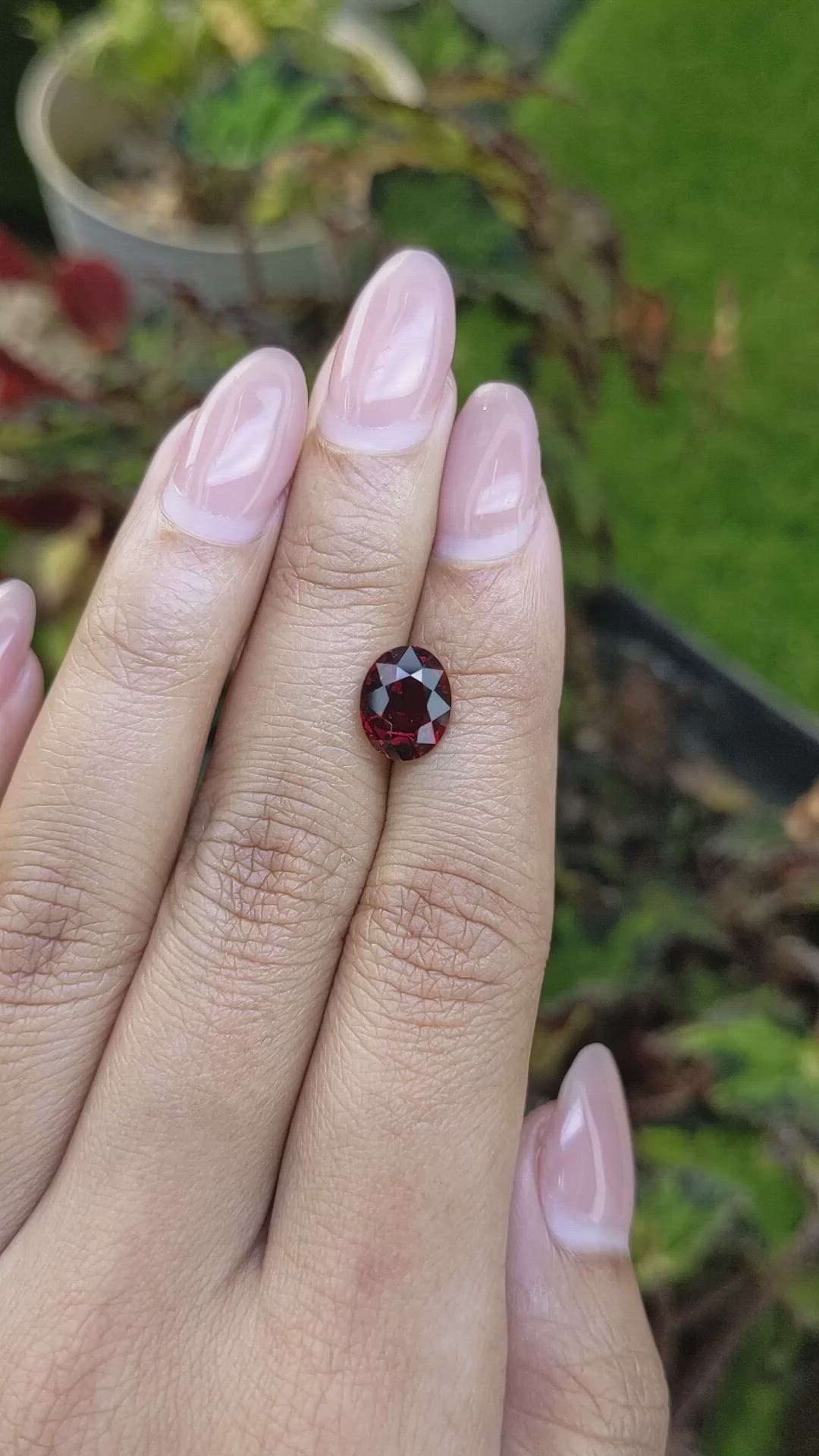 2.71 Ct. Red Garnet from Ceylon (Sri Lanka) Size Video