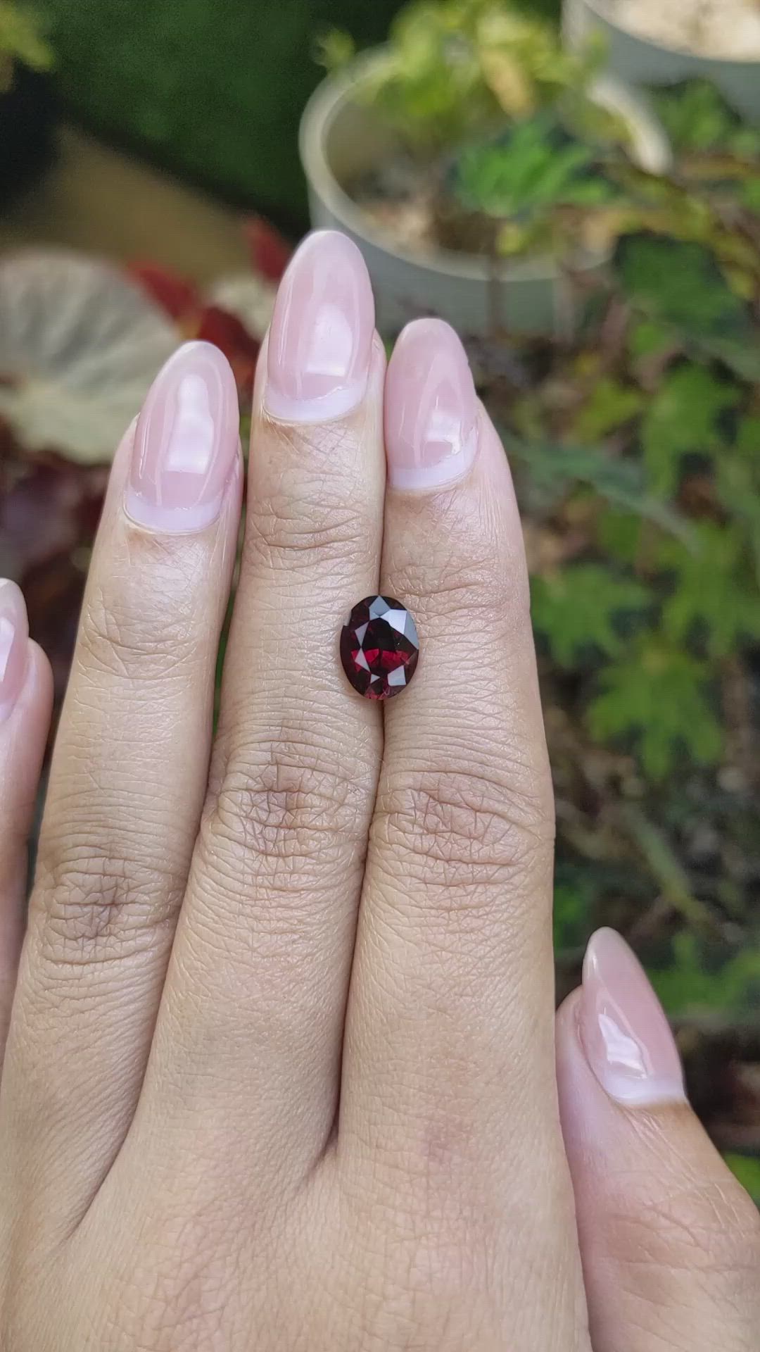 2.86 Ct. Red Garnet from Ceylon (Sri Lanka) Size Video
