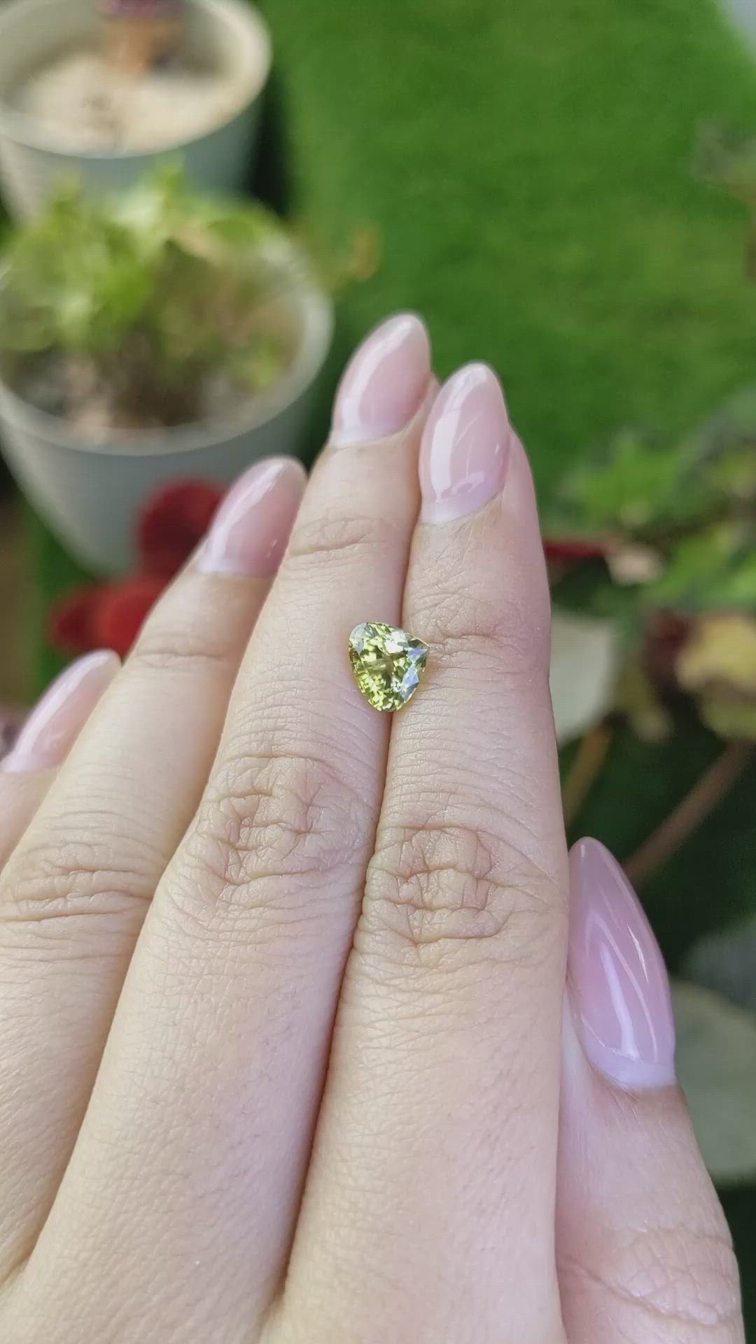 1.69 Ct. Greenish Yellow Chrysoberyl from Ceylon (Sri Lanka) Size Video