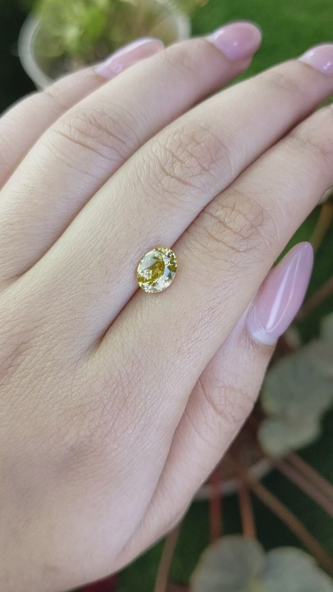 1.62 Ct. Greenish Yellow Chrysoberyl from Ceylon (Sri Lanka) Size Video