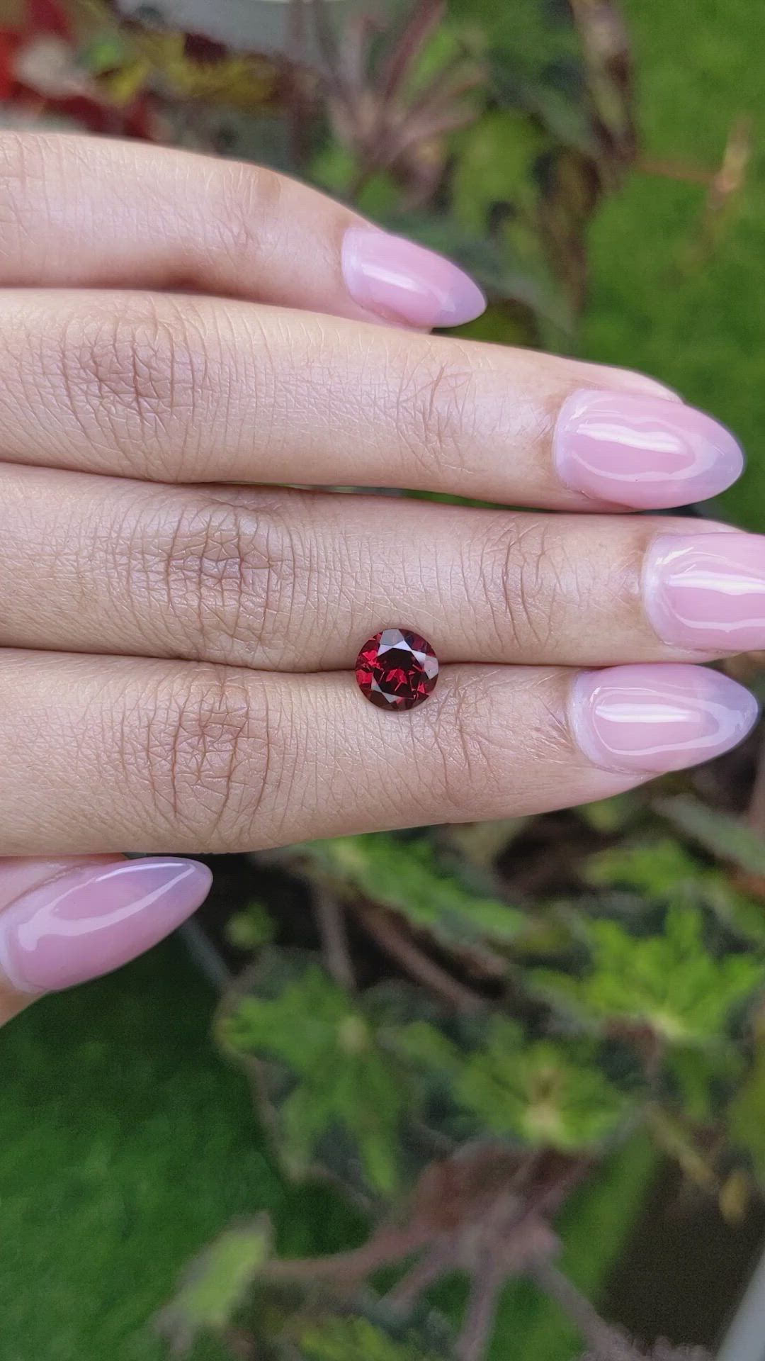 1.69 Ct. Red Almandine Garnet from Mozambique Size Video