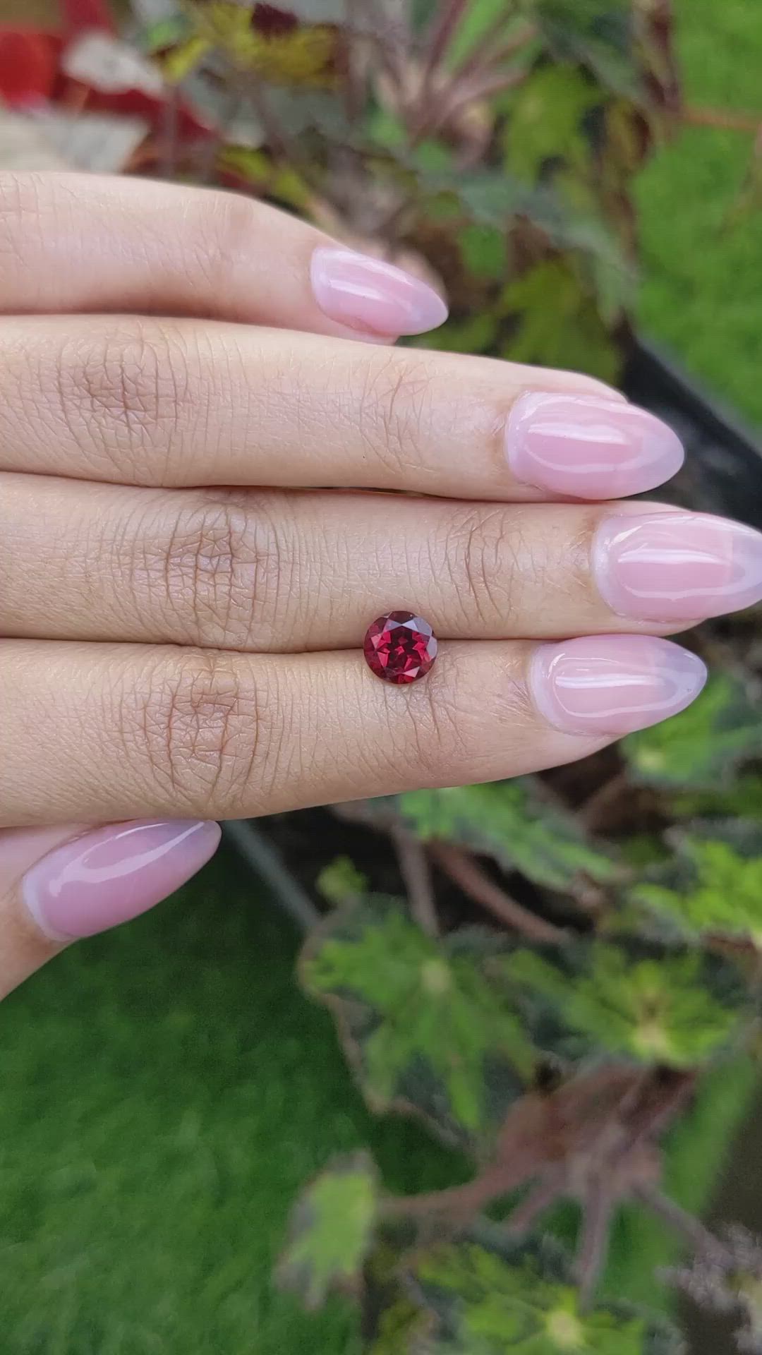 1.76 Ct. Red Almandine Garnet from Mozambique Size Video