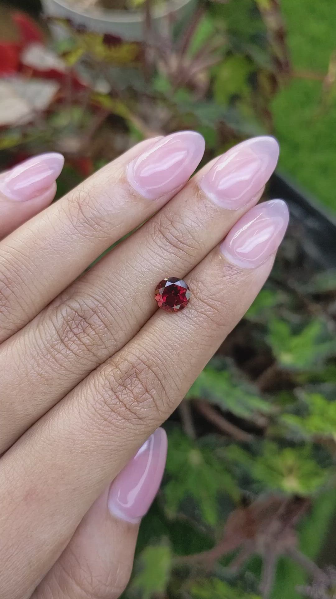 1.76 Ct. Red Almandine Garnet from Mozambique Size Video