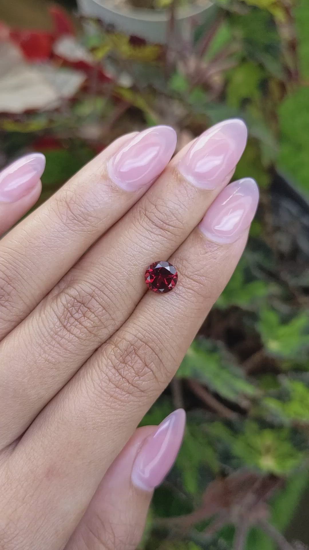 1.68 Ct. Red Almandine Garnet from Mozambique Size Video