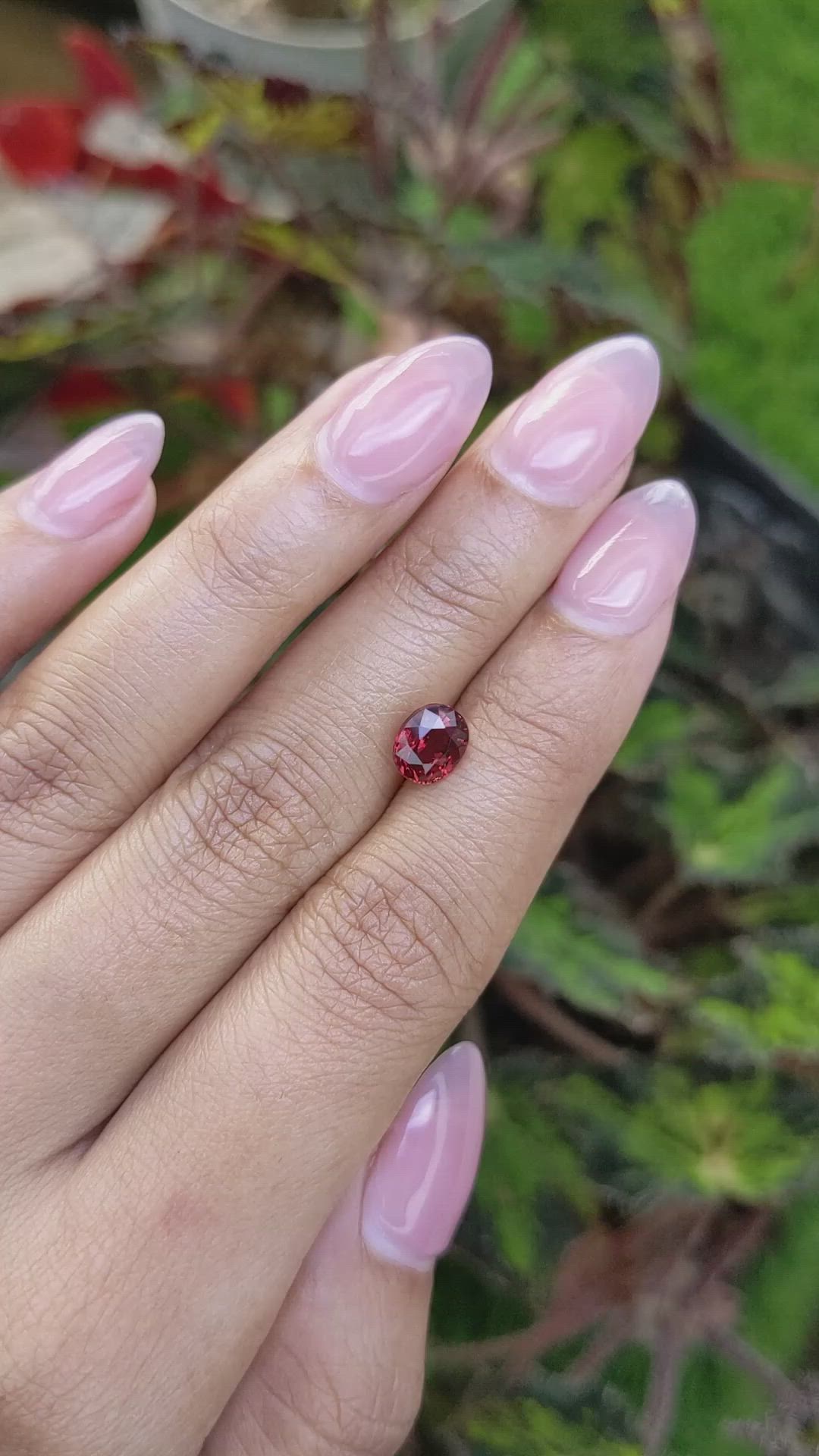 1.59 Ct. Red Almandine Garnet from Mozambique Size Video