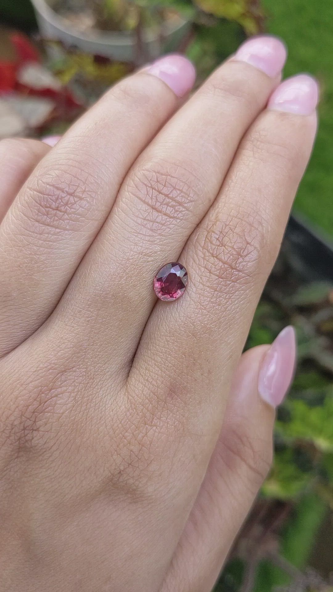 1.21 Ct. Purplish Red Rhodolite Garnet from Mozambique Size Video