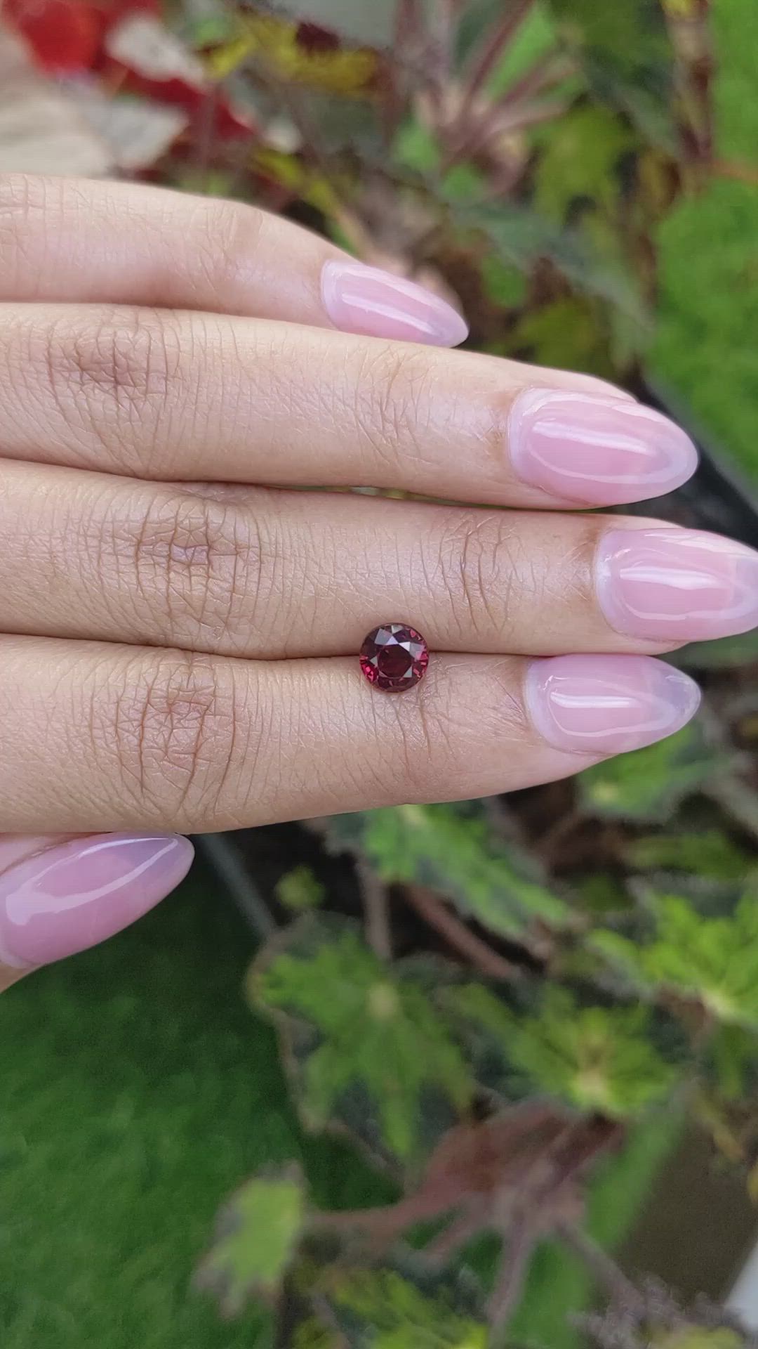 1.35 Ct. Red Rhodolite Garnet from Mozambique Size Video