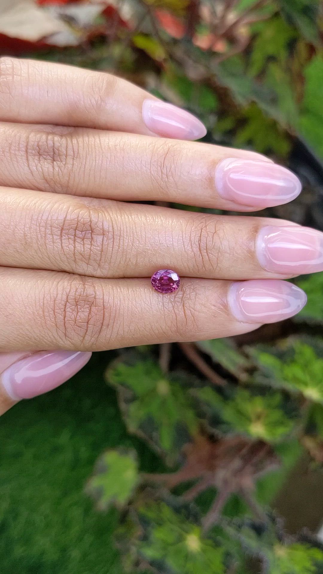 1.11 Ct. Pinkish Purple Rhodolite Garnet from Mozambique Size Video
