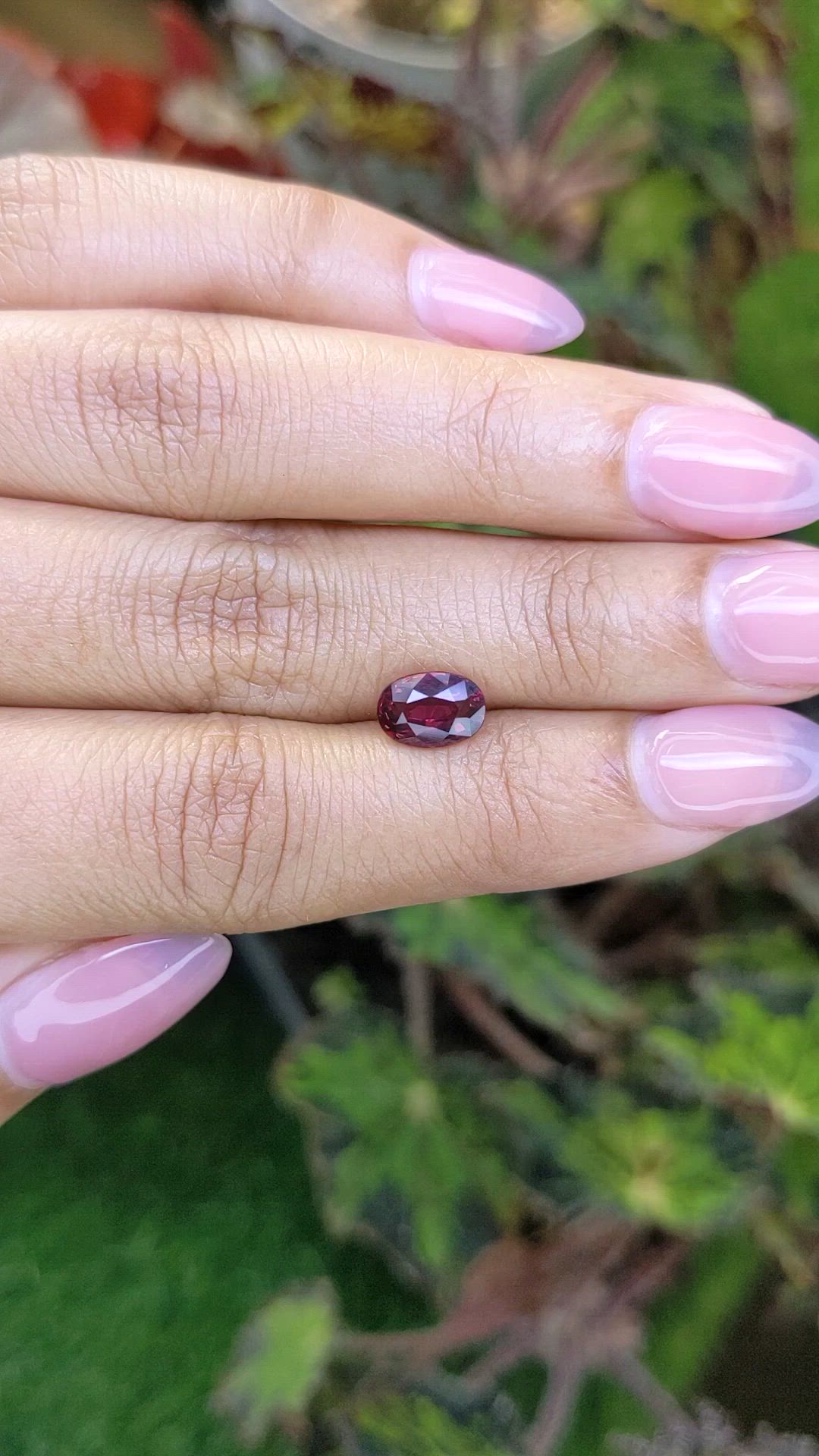 1.62 Ct. Red Rhodolite Garnet from Mozambique Size Video