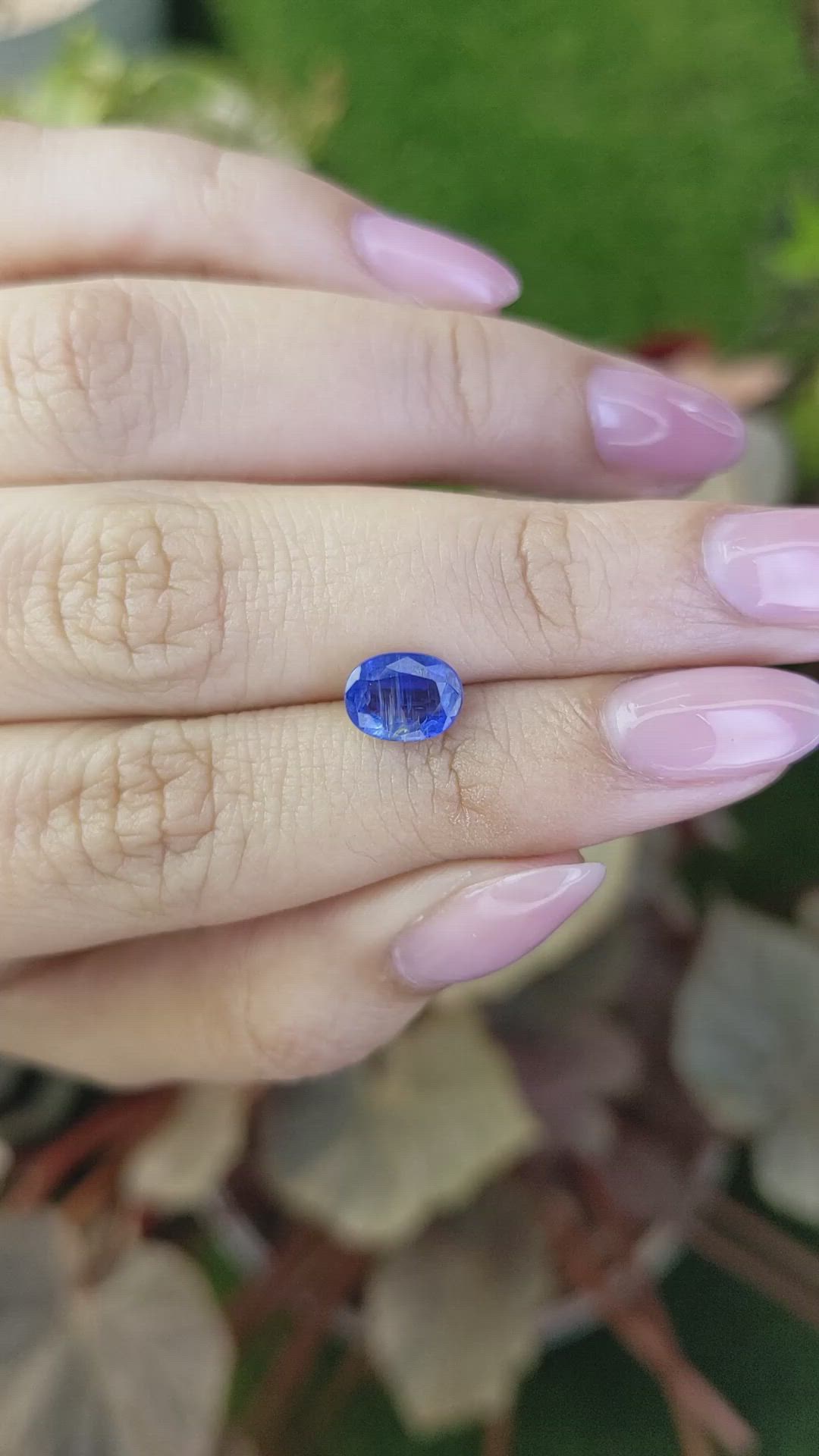 1.66 Ct. Blue Kyanite from Brazil Size Video