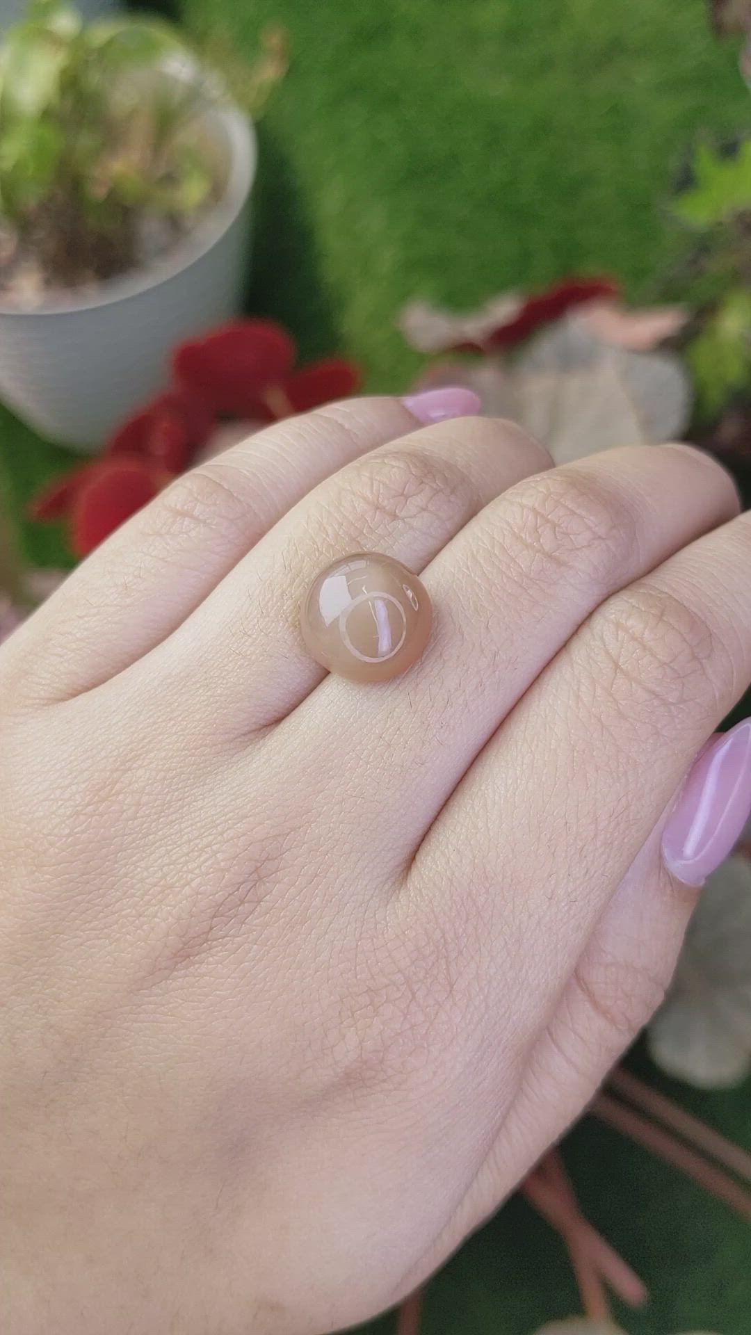 8.93 Ct. Brown Cabochon Moonstone from Ceylon (Sri Lanka) Size Video