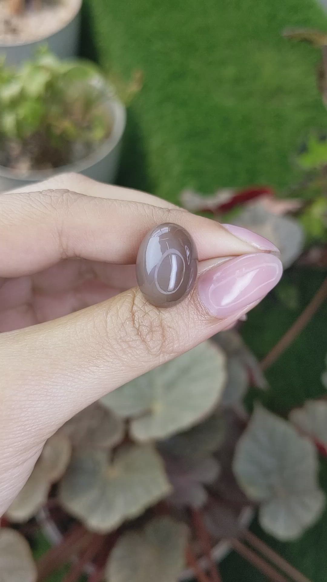 14.34 Ct. Brown Cabochon Moonstone from Ceylon (Sri Lanka) Size Video