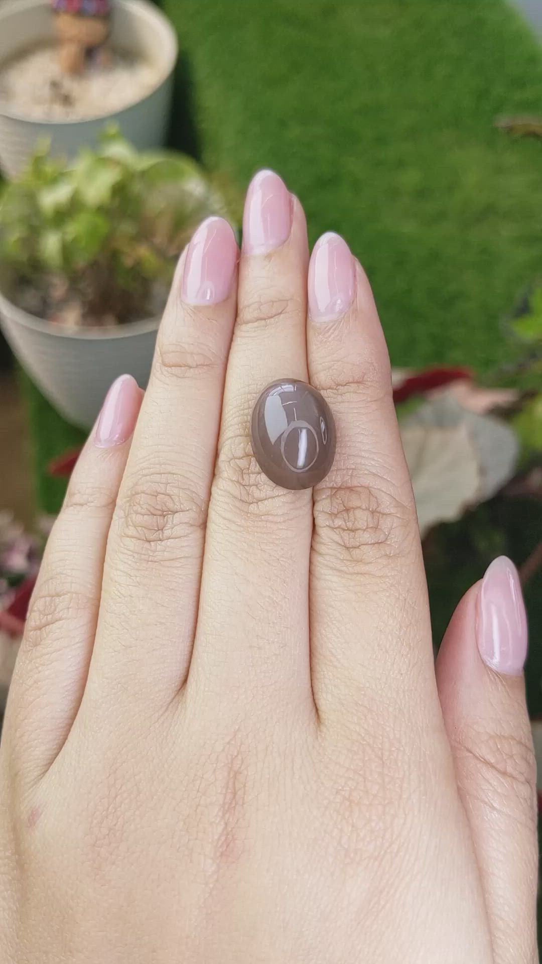 14.34 Ct. Brown Cabochon Moonstone from Ceylon (Sri Lanka) Size Video