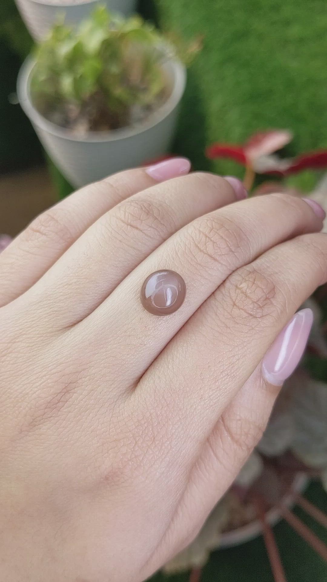 3.78 Ct. Peach Cabochon Moonstone from Ceylon (Sri Lanka) Size Video