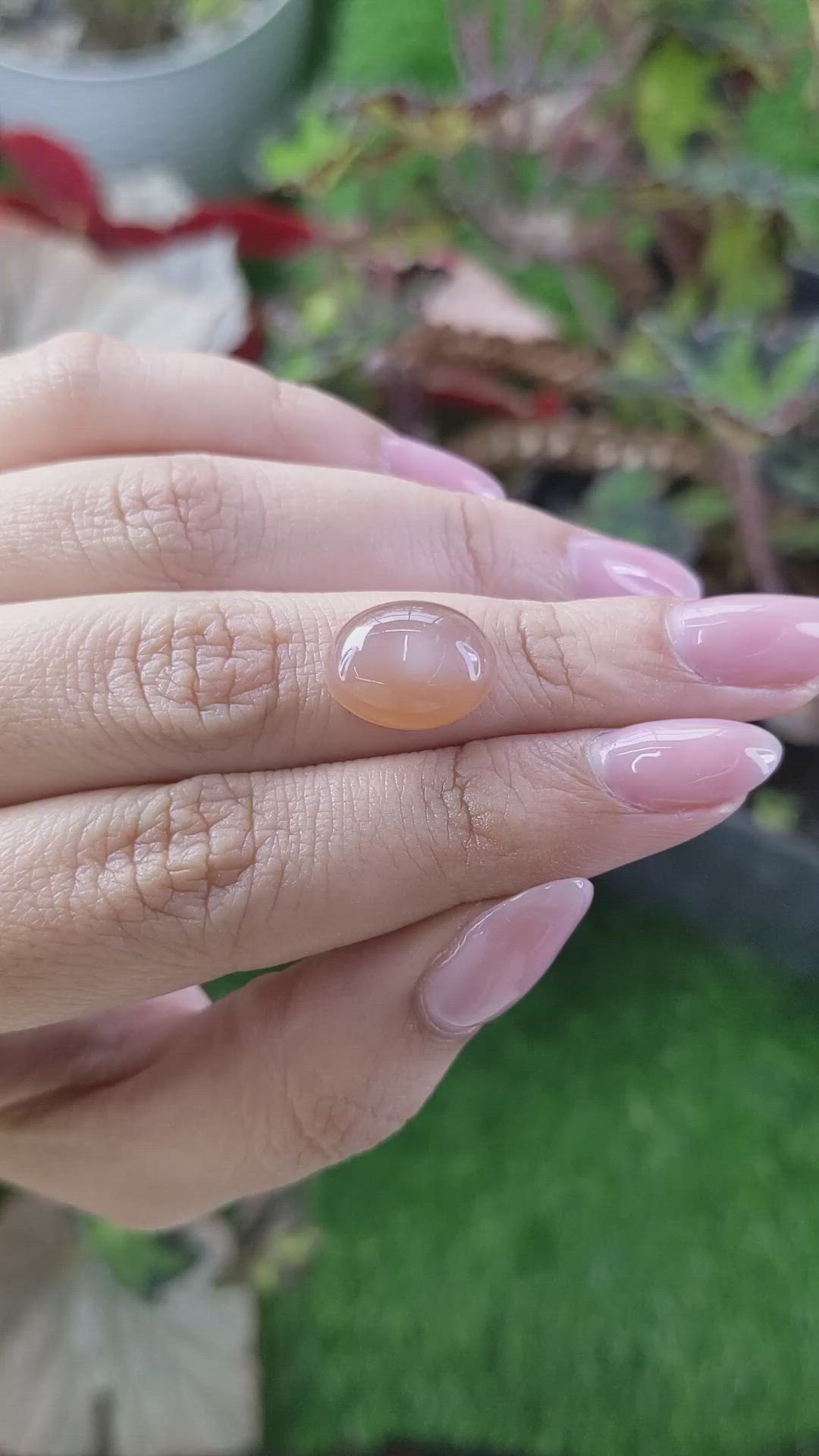 7.07 Ct. Peach Cabochon Moonstone from Ceylon (Sri Lanka) Size Video
