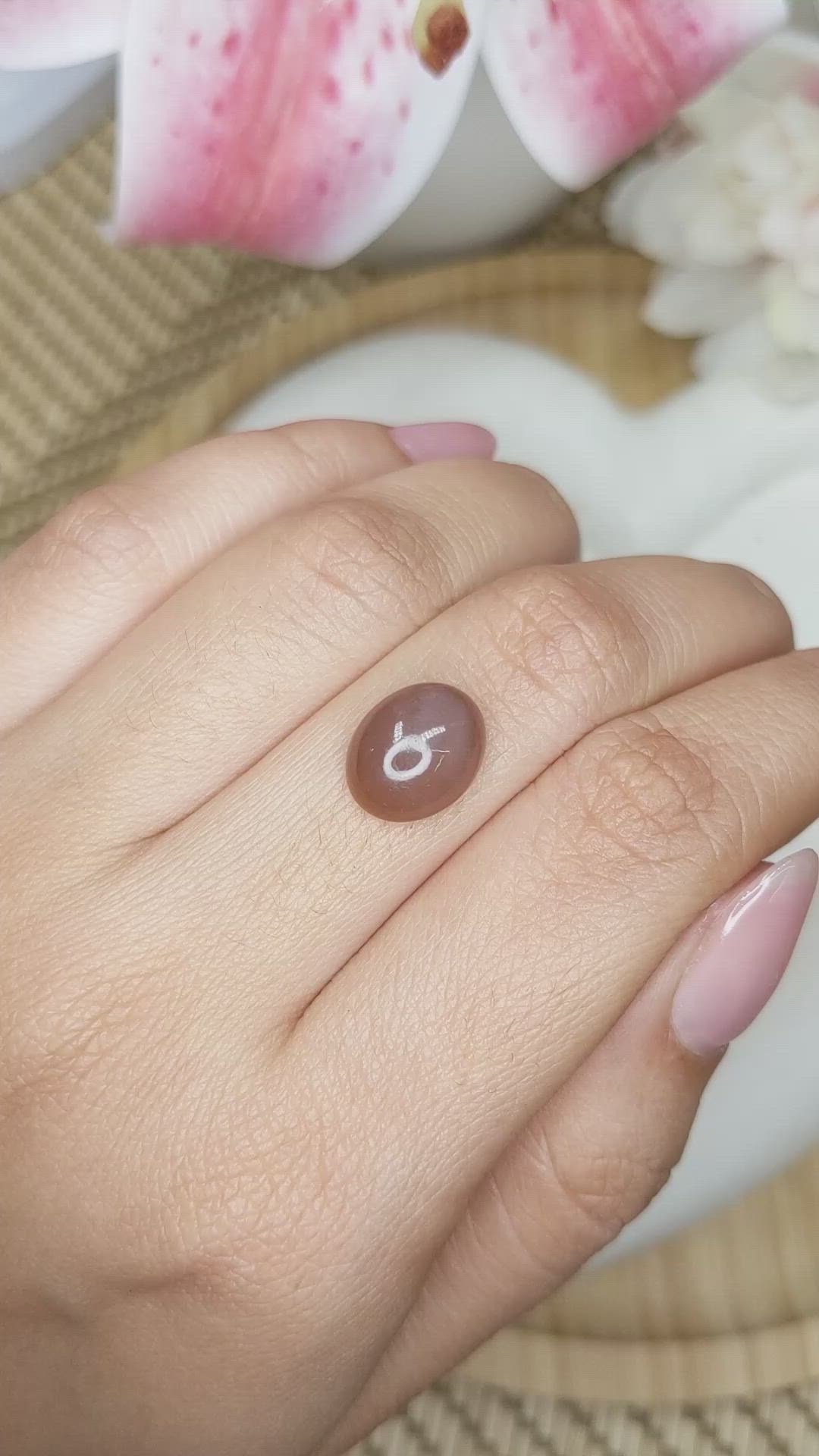 4.18 Ct. Brown Cabochon Moonstone from Ceylon (Sri Lanka) Size Video