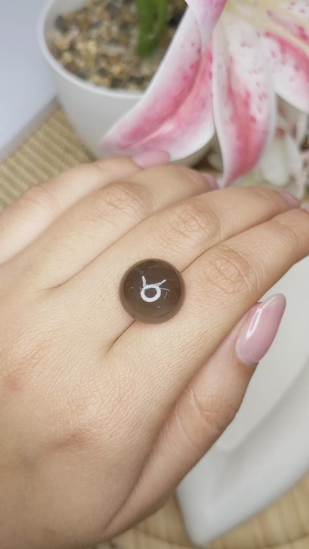 12.44 Ct. Brown Cabochon Moonstone from Ceylon (Sri Lanka) Size Video