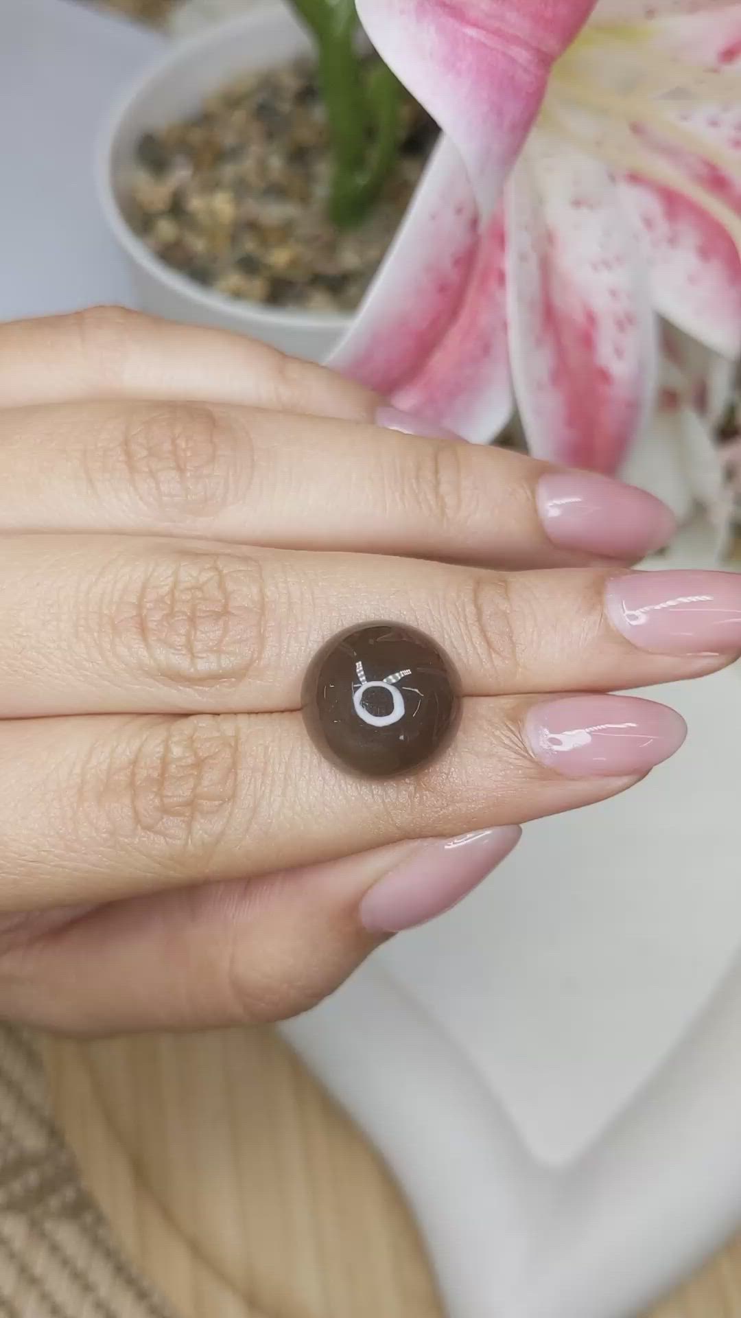 12.44 Ct. Brown Cabochon Moonstone from Ceylon (Sri Lanka) Size Video