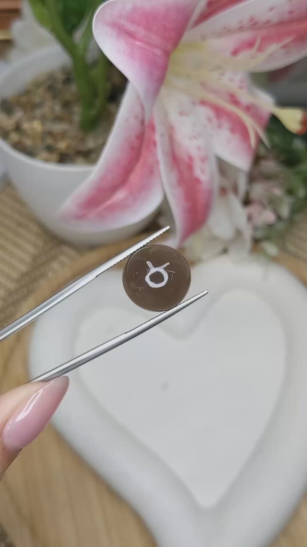 12.44 Ct. Brown Cabochon Moonstone from Ceylon (Sri Lanka) Size Video