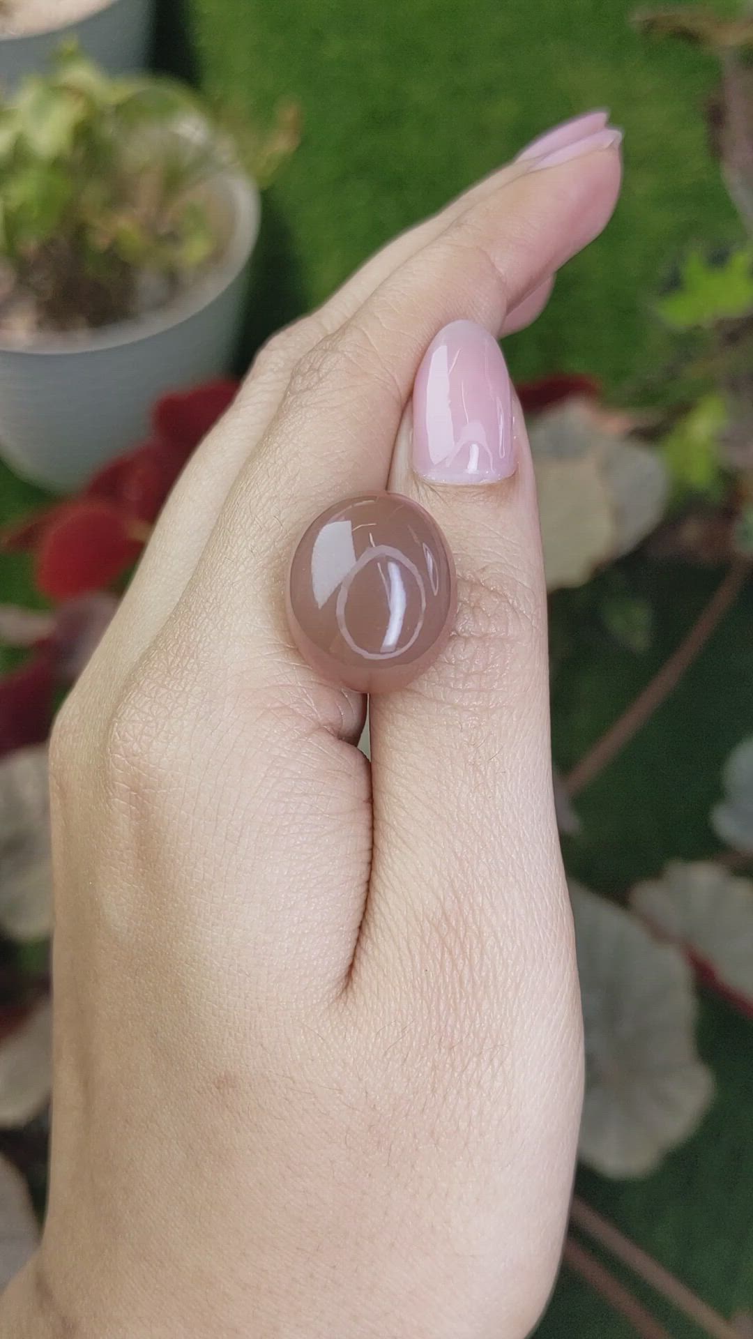 26.46 Ct. Brown Cabochon Moonstone from Ceylon (Sri Lanka) Size Video