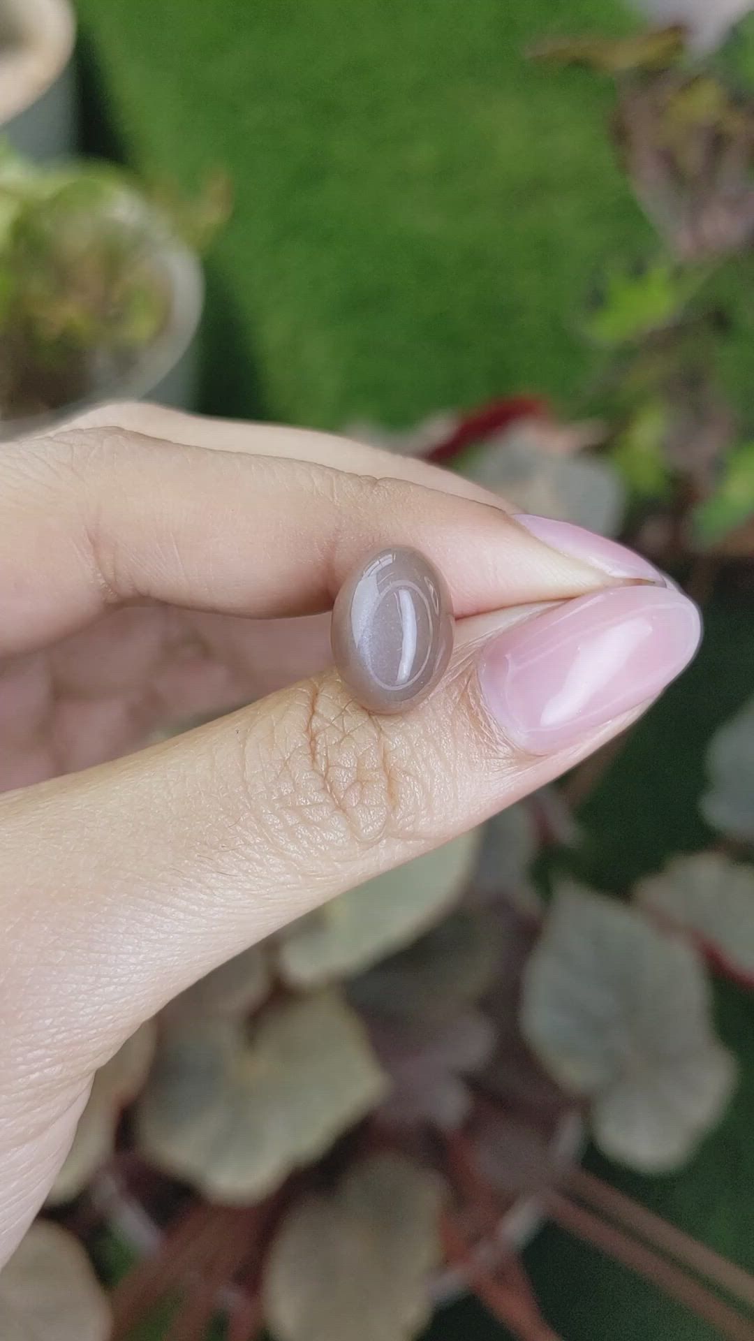 8.18 Ct. Brown Cabochon Moonstone from Ceylon (Sri Lanka) Size Video