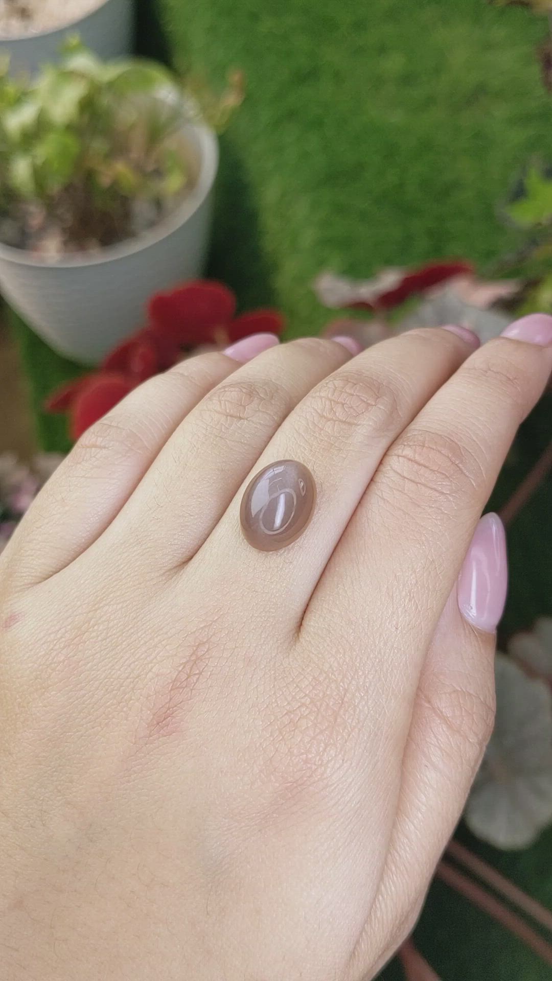 8.18 Ct. Brown Cabochon Moonstone from Ceylon (Sri Lanka) Size Video