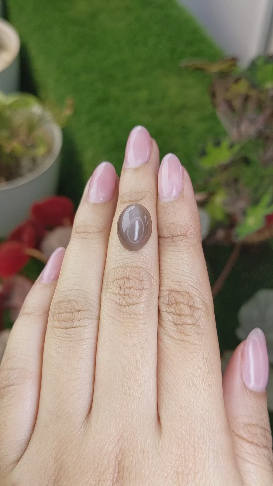 8.18 Ct. Brown Cabochon Moonstone from Ceylon (Sri Lanka) Size Video
