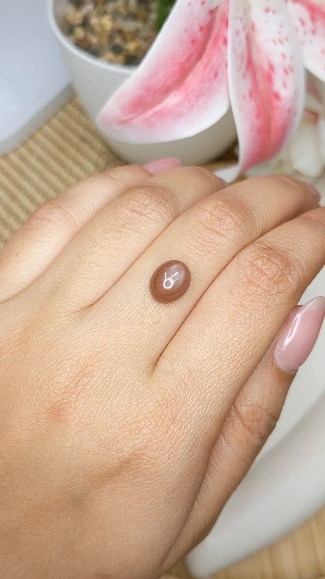 3.70 Ct. Brown Cabochon Moonstone from Ceylon (Sri Lanka) Size Video