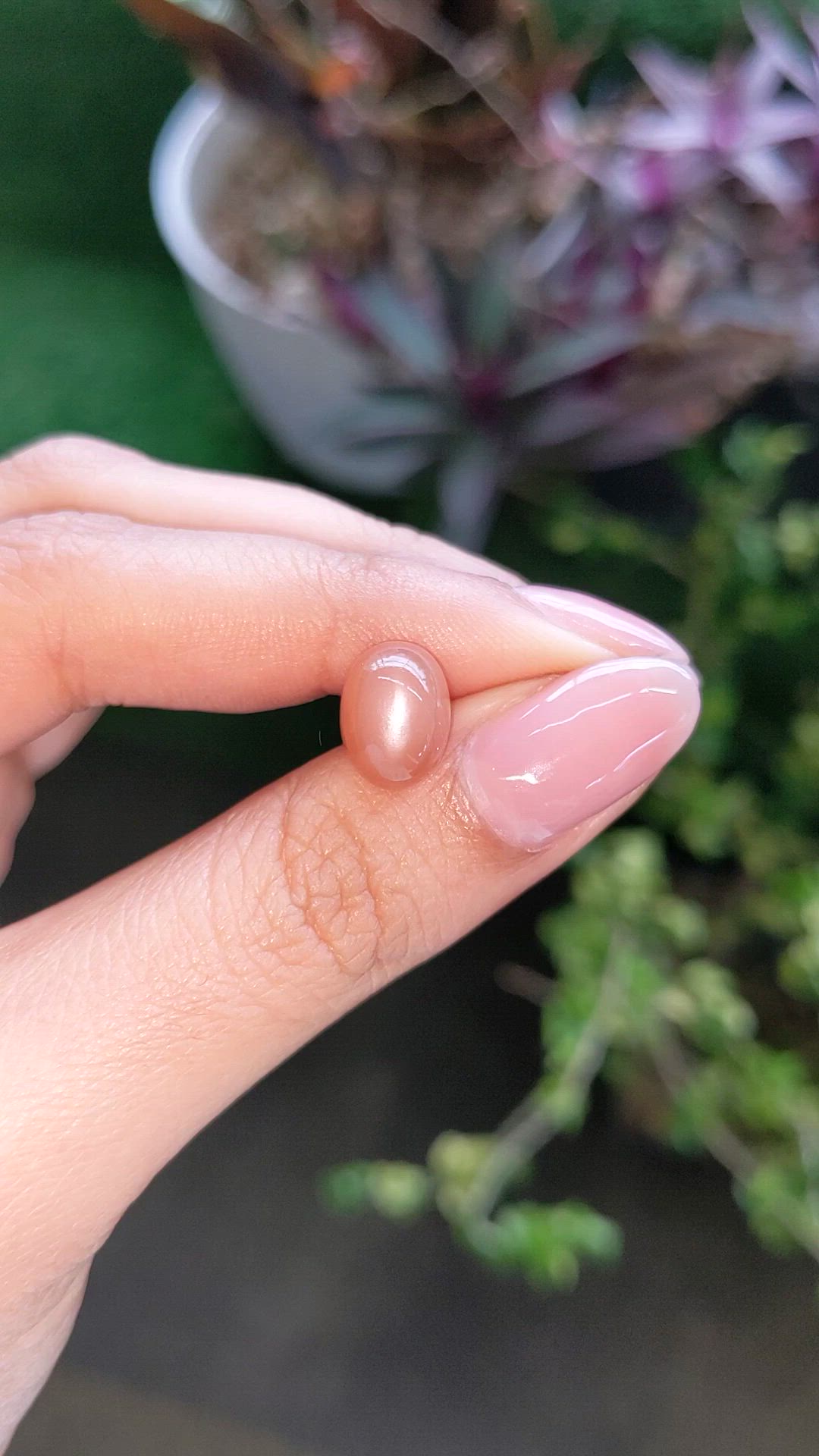 5.17 Ct. Peach Cabochon Moonstone from Ceylon (Sri Lanka) Size Video